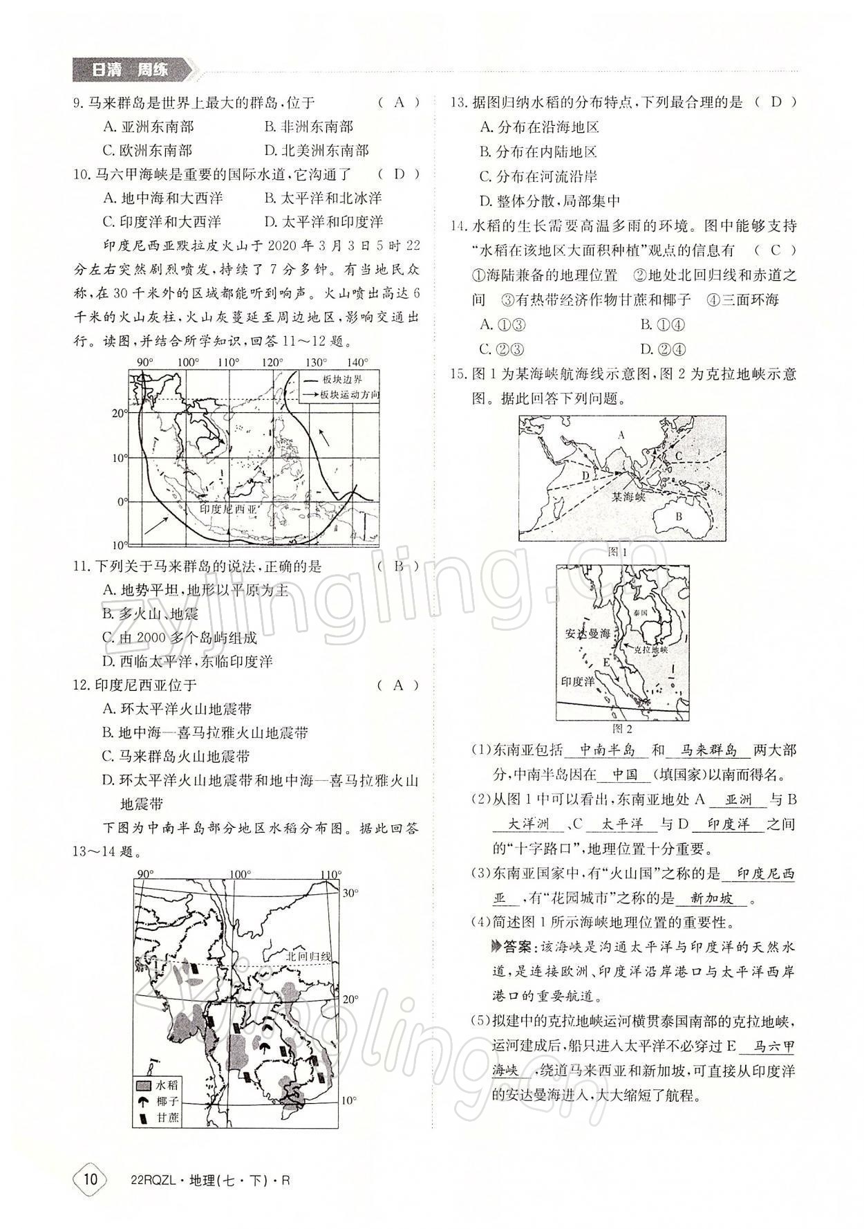 2022年日清周練七年級(jí)地理下冊(cè)人教版 參考答案第10頁(yè)