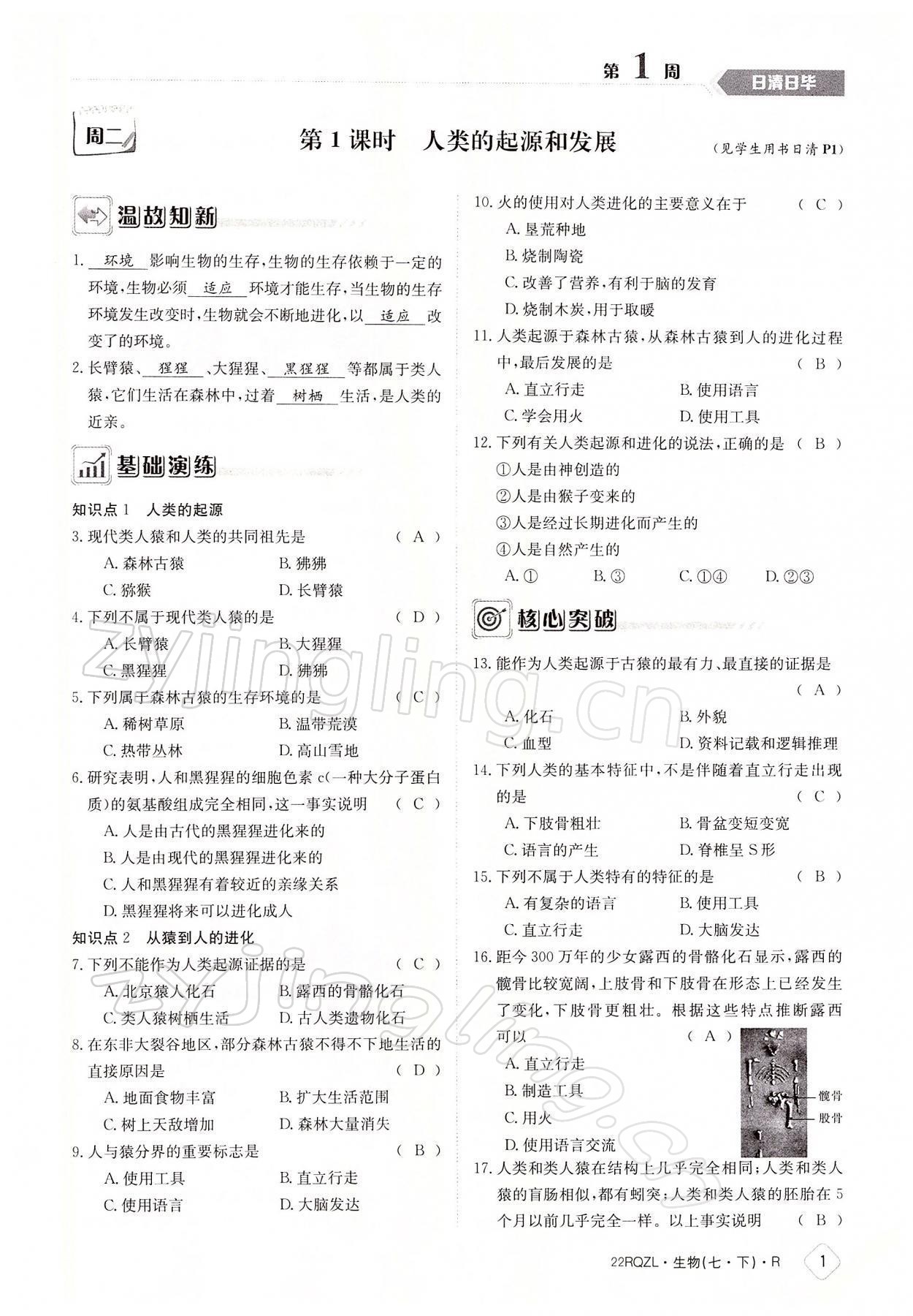 2022年日清周練七年級(jí)生物下冊(cè)人教版 參考答案第1頁