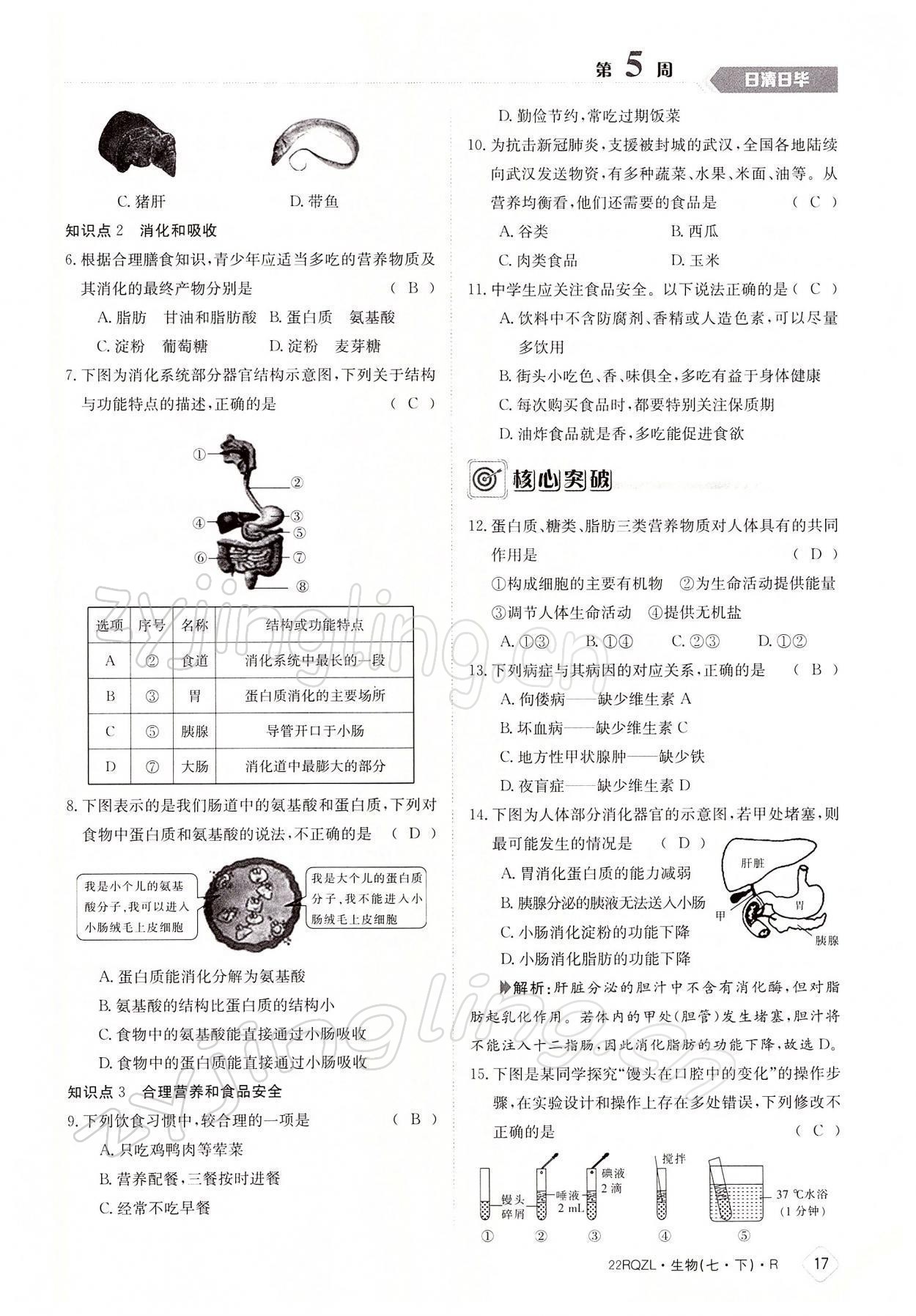 2022年日清周練七年級(jí)生物下冊(cè)人教版 參考答案第17頁(yè)