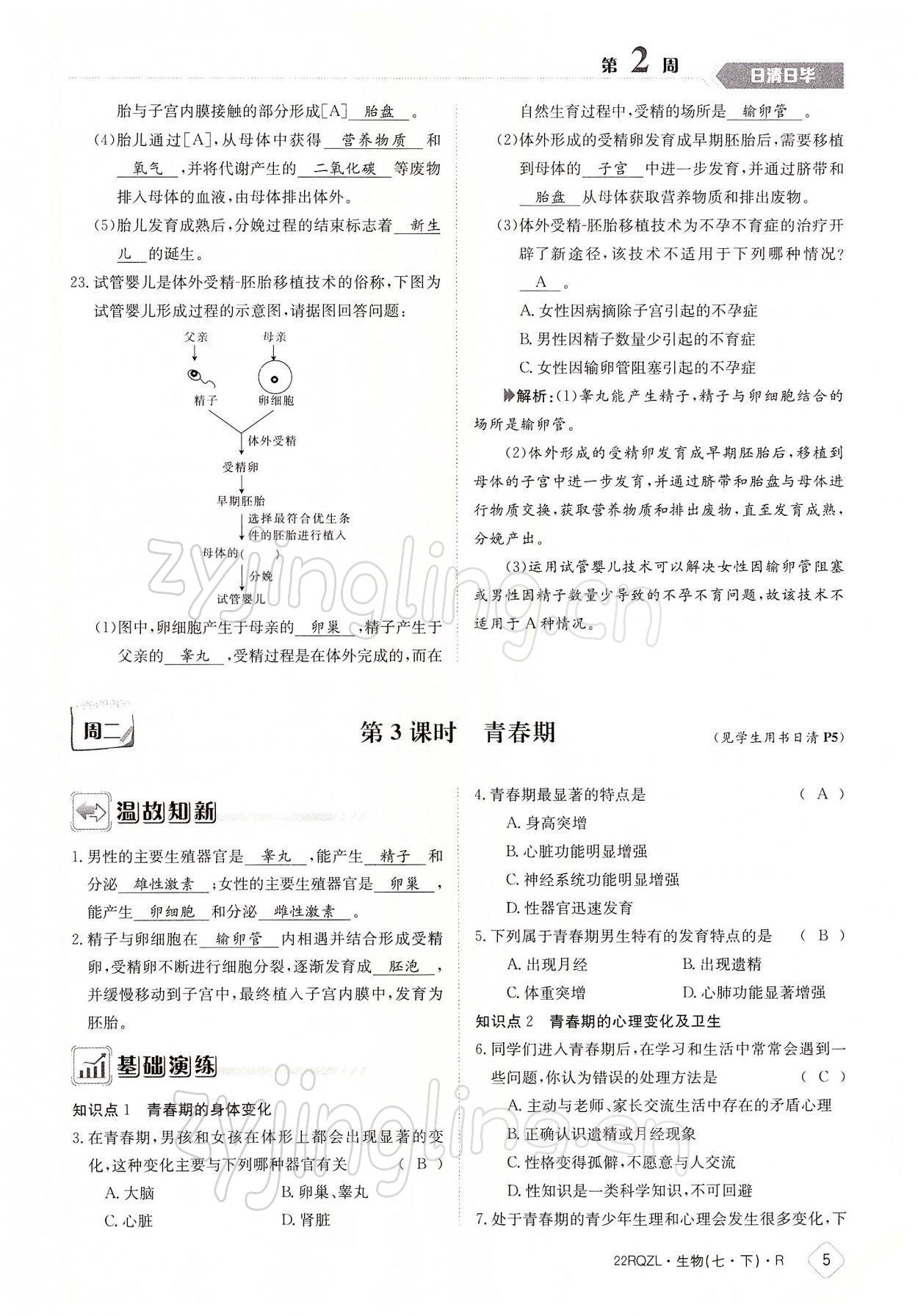 2022年日清周練七年級(jí)生物下冊(cè)人教版 參考答案第5頁