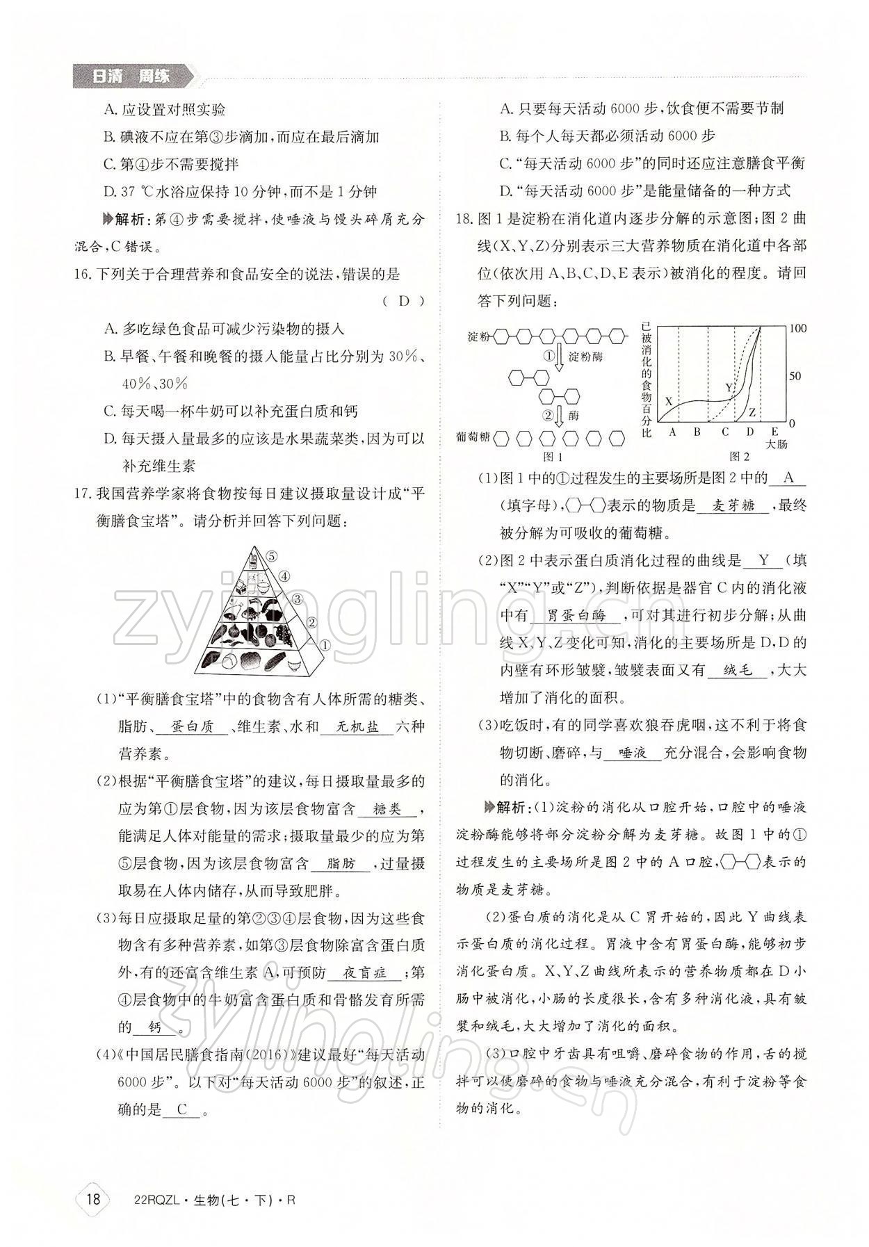 2022年日清周練七年級(jí)生物下冊(cè)人教版 參考答案第18頁