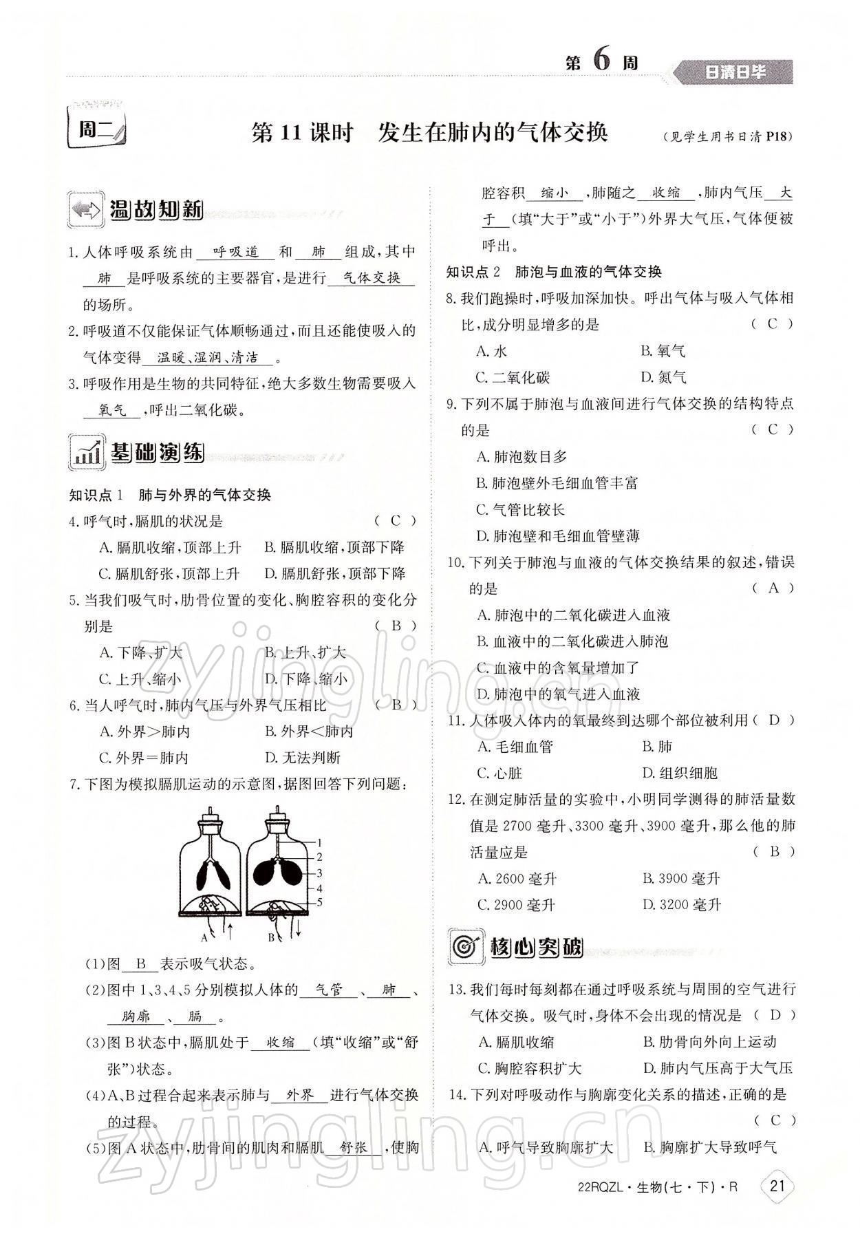 2022年日清周練七年級生物下冊人教版 參考答案第21頁