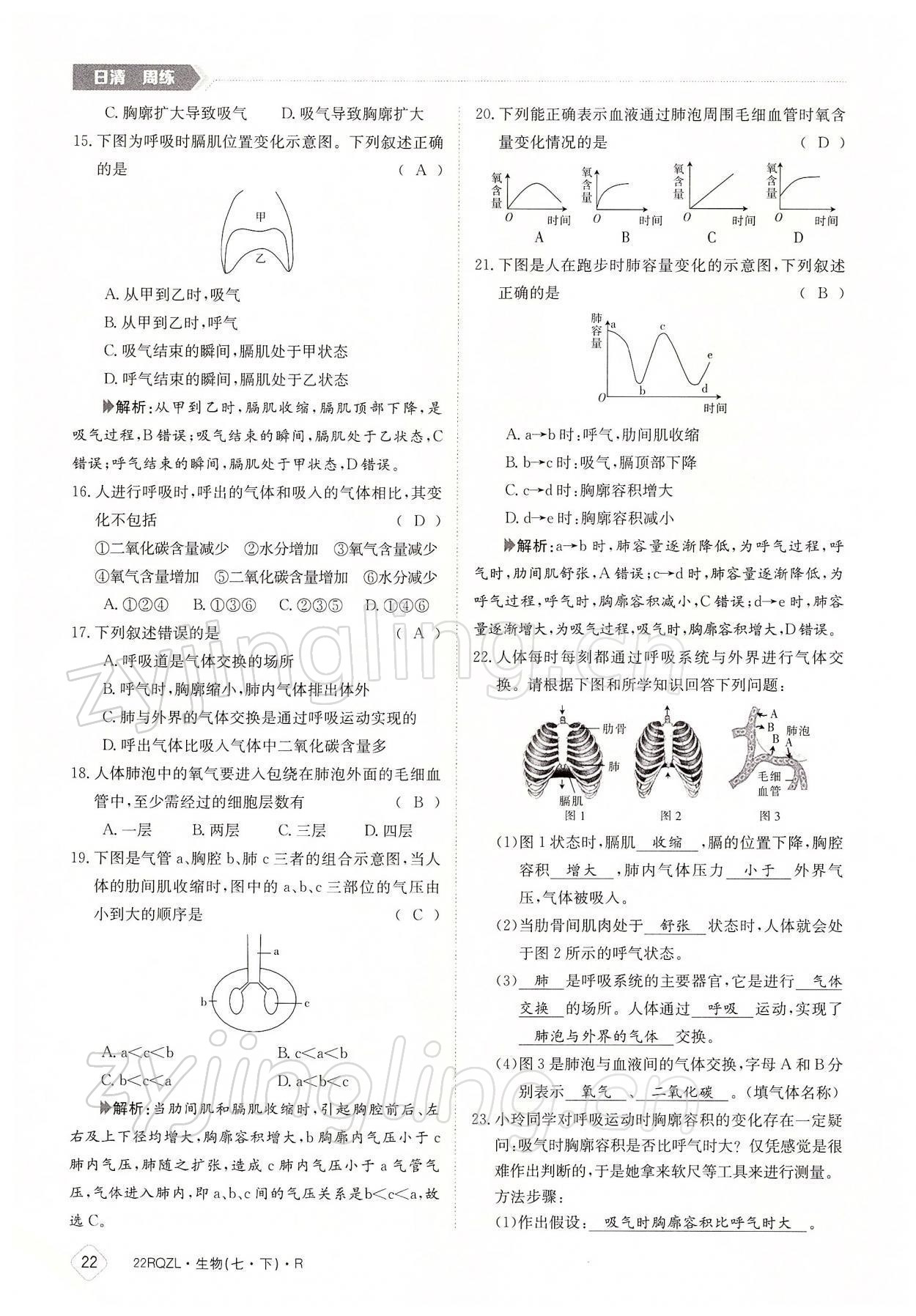 2022年日清周練七年級生物下冊人教版 參考答案第22頁