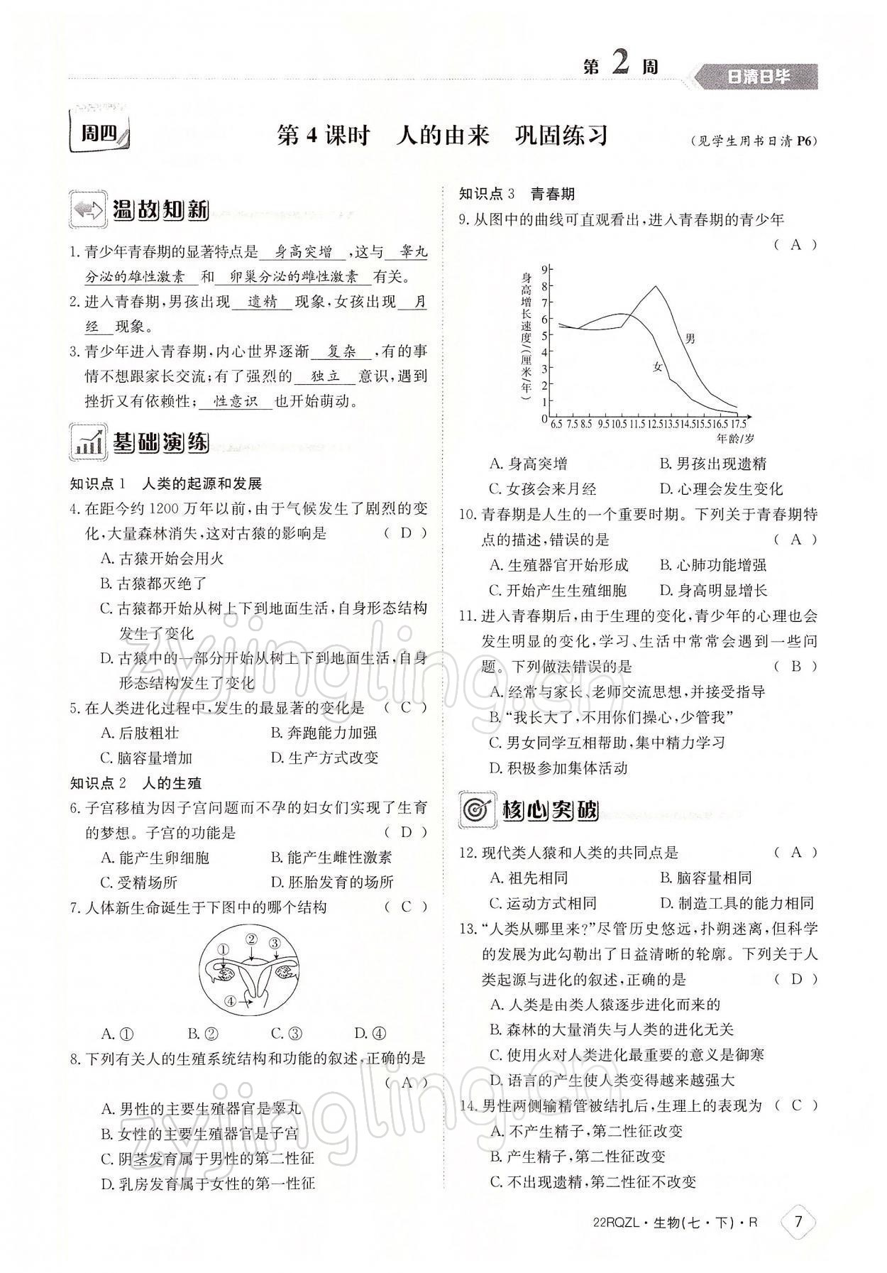 2022年日清周練七年級生物下冊人教版 參考答案第7頁