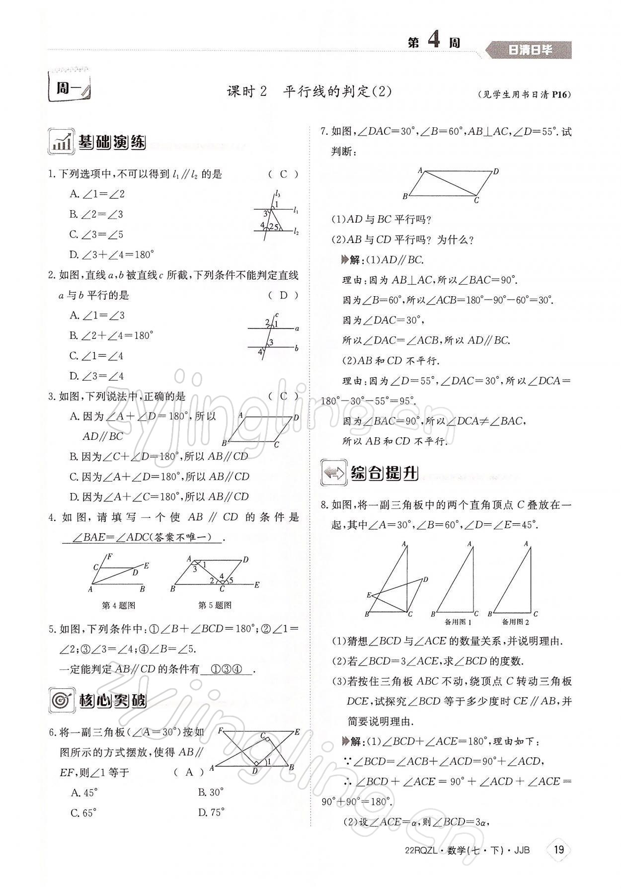 2022年日清周練七年級數(shù)學(xué)下冊冀教版 參考答案第19頁