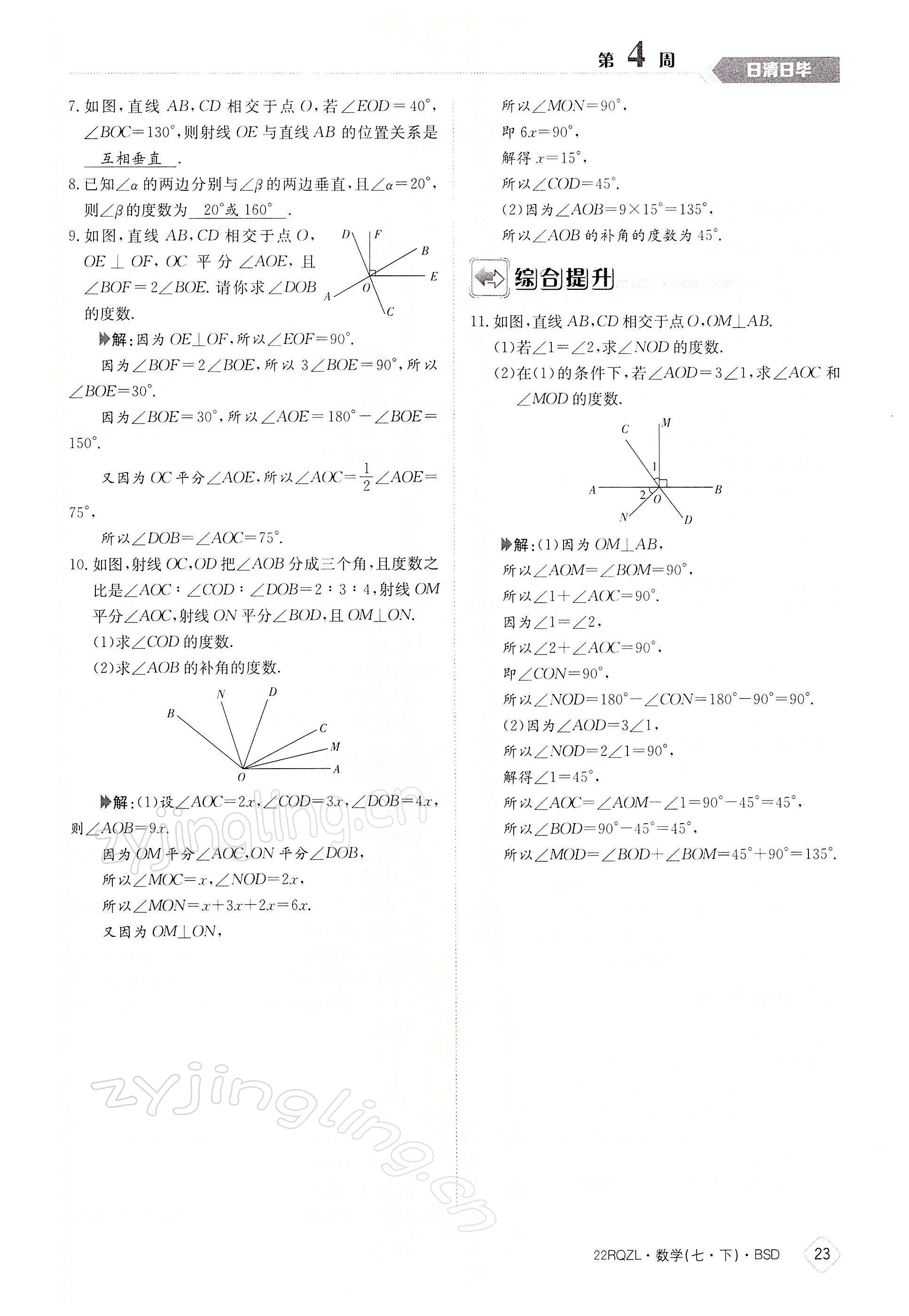 2022年日清周練七年級數(shù)學(xué)下冊北師大版 參考答案第23頁