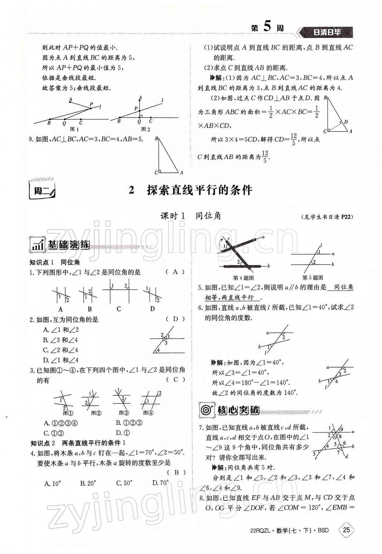 2022年日清周練七年級數(shù)學(xué)下冊北師大版 參考答案第25頁