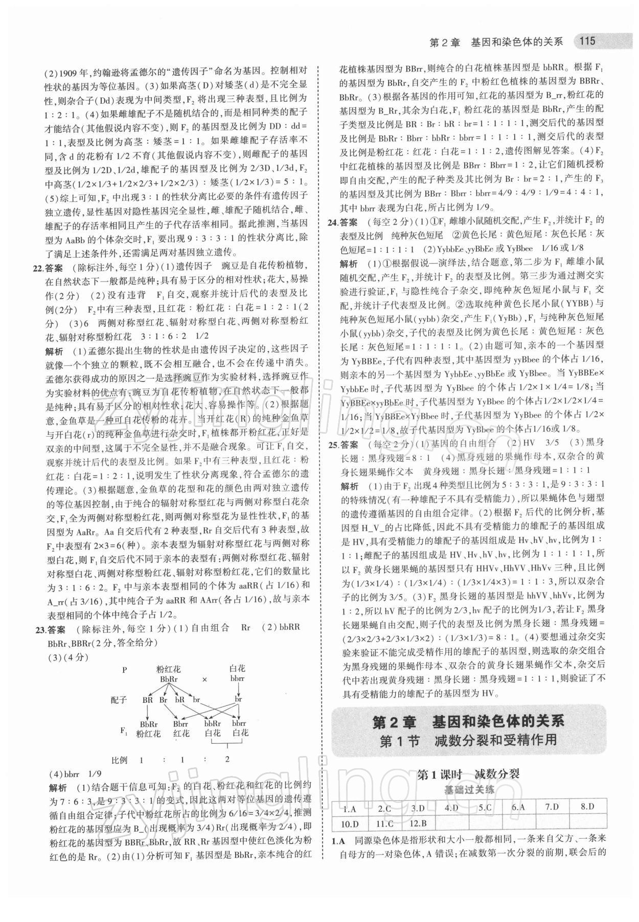 2022年5年高考3年模拟高中生物必修2人教版 第11页