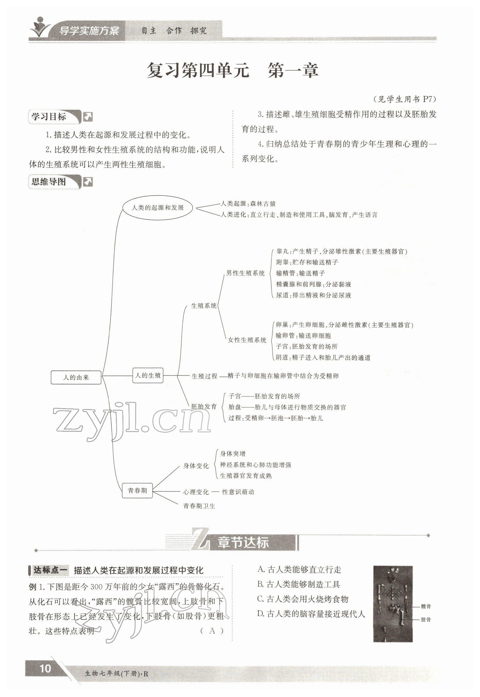 2022年金太阳导学案七年级生物下册人教版 参考答案第10页