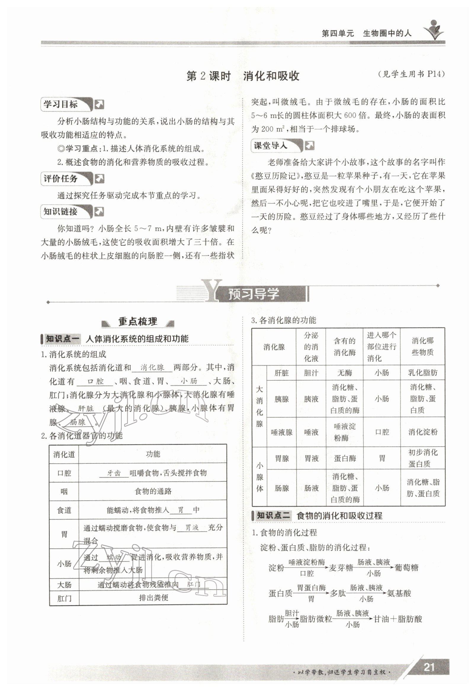 2022年金太阳导学案七年级生物下册人教版 参考答案第21页