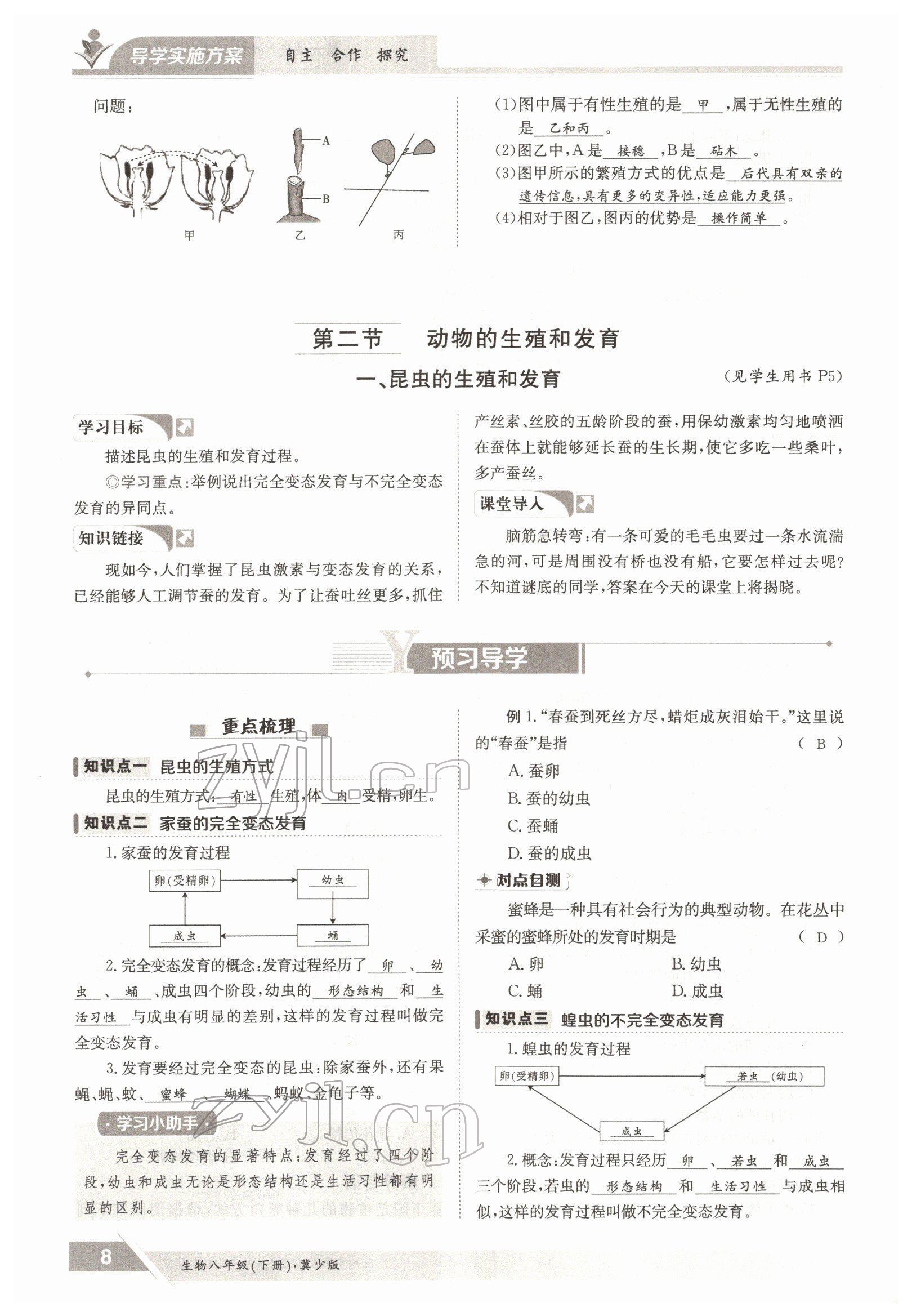 2022年金太阳导学案八年级生物下册冀少版 参考答案第8页