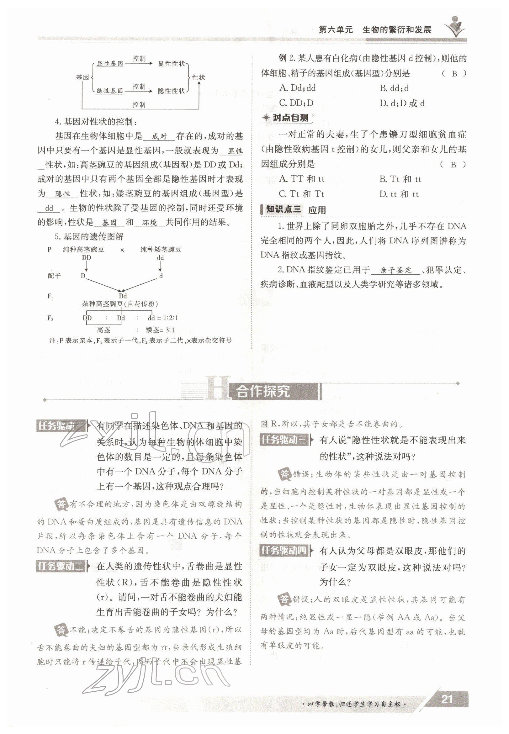 2022年金太阳导学案八年级生物下册冀少版 参考答案第21页