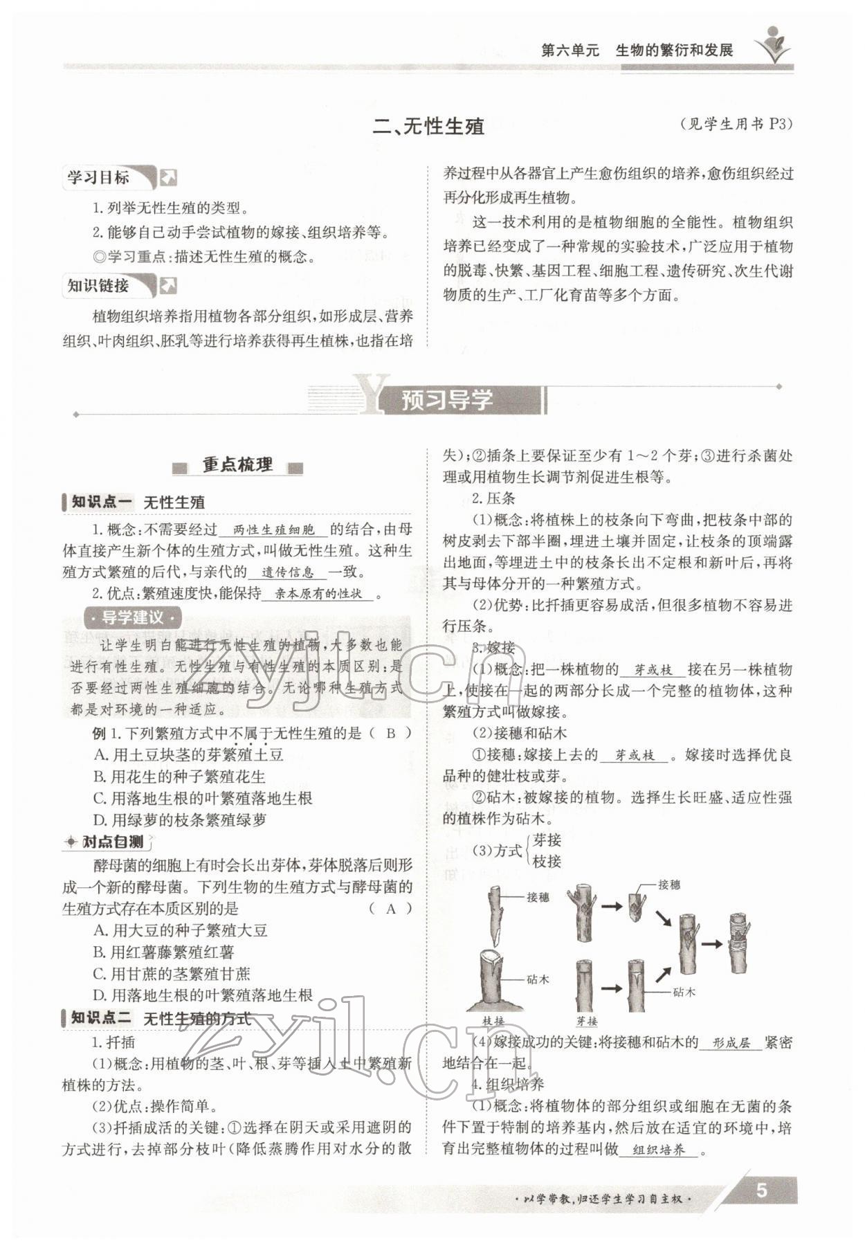 2022年金太阳导学案八年级生物下册冀少版 参考答案第5页