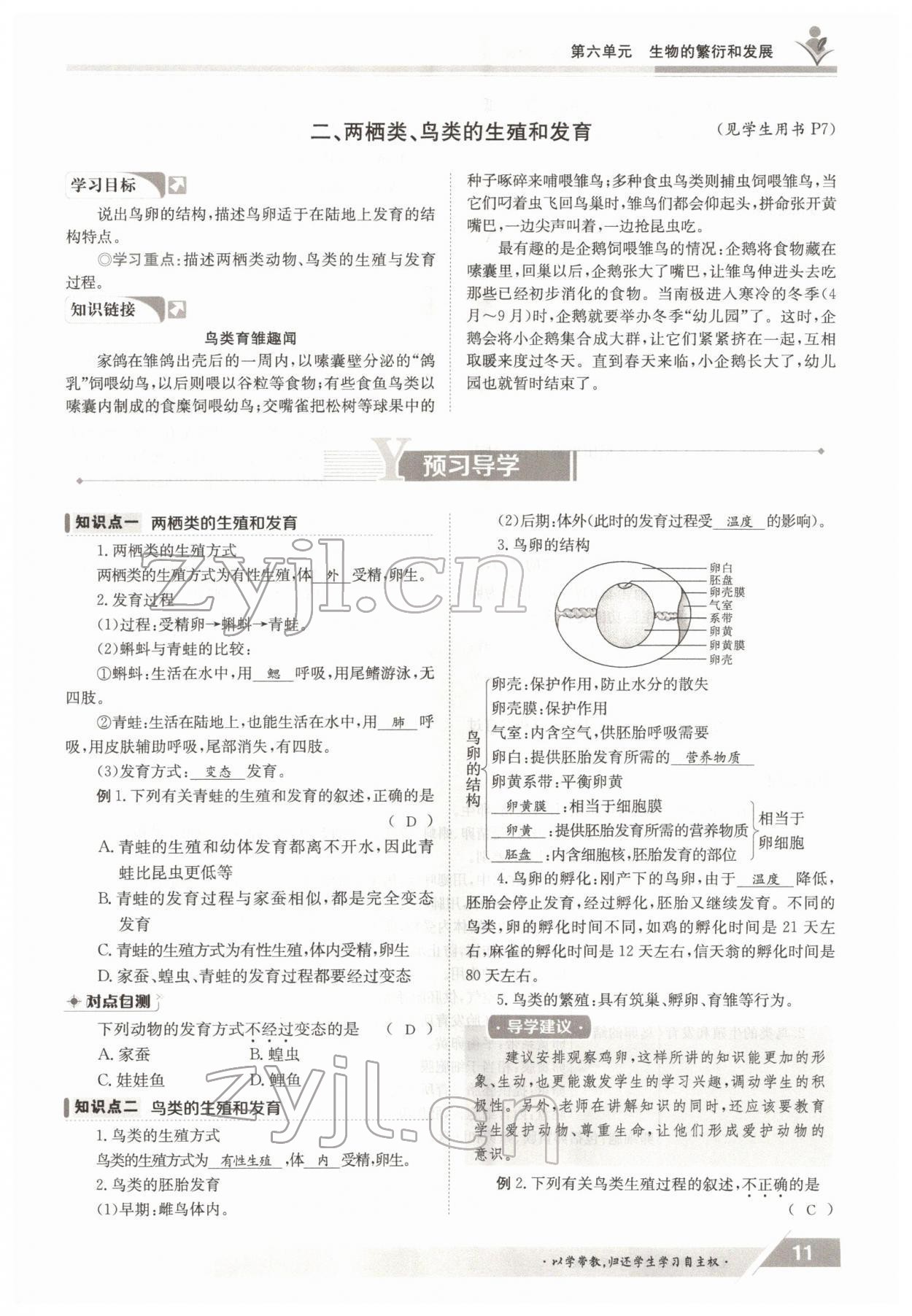 2022年金太阳导学案八年级生物下册冀少版 参考答案第11页