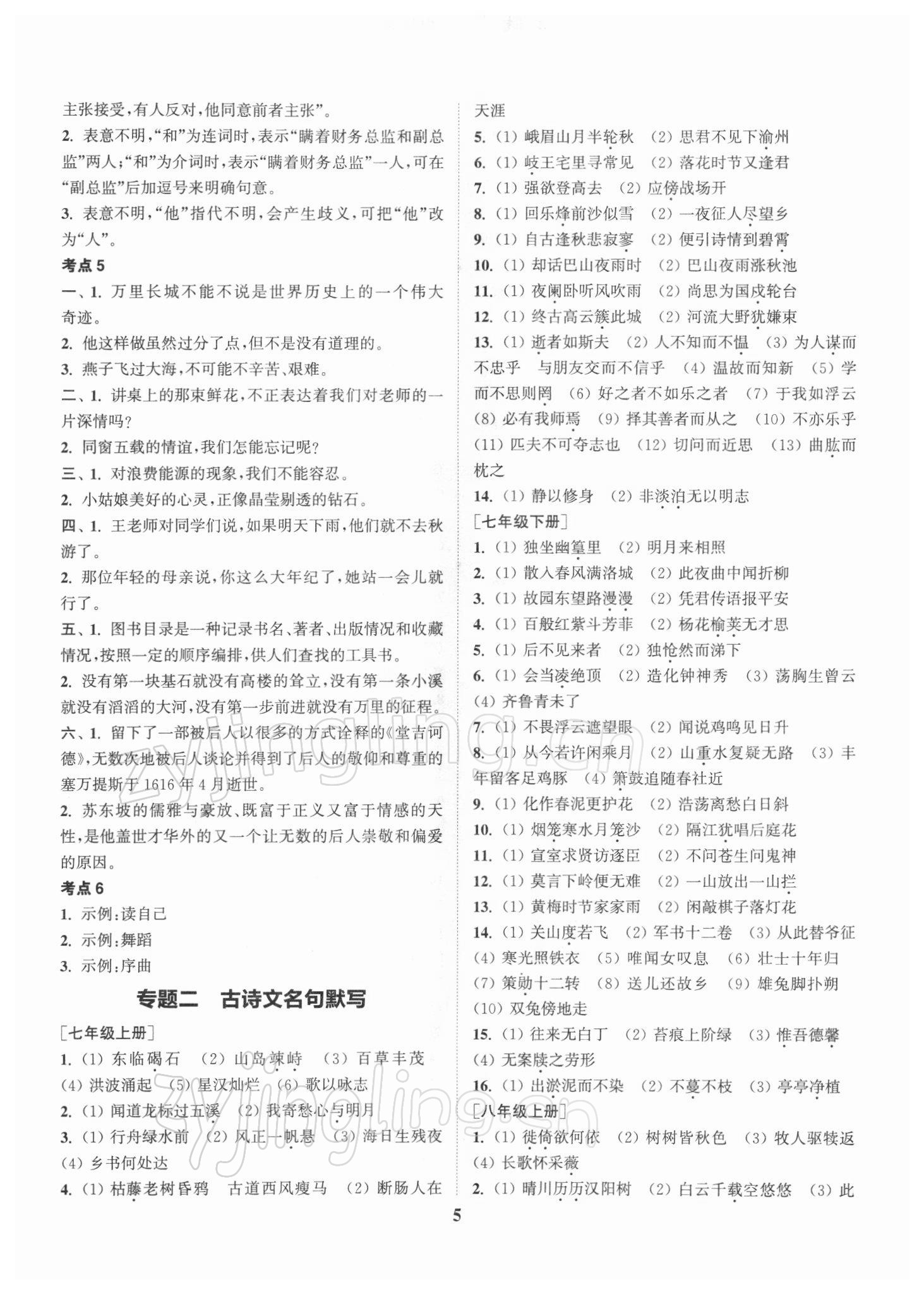 2022年通城1典中考复习方略语文苏州专用 第5页
