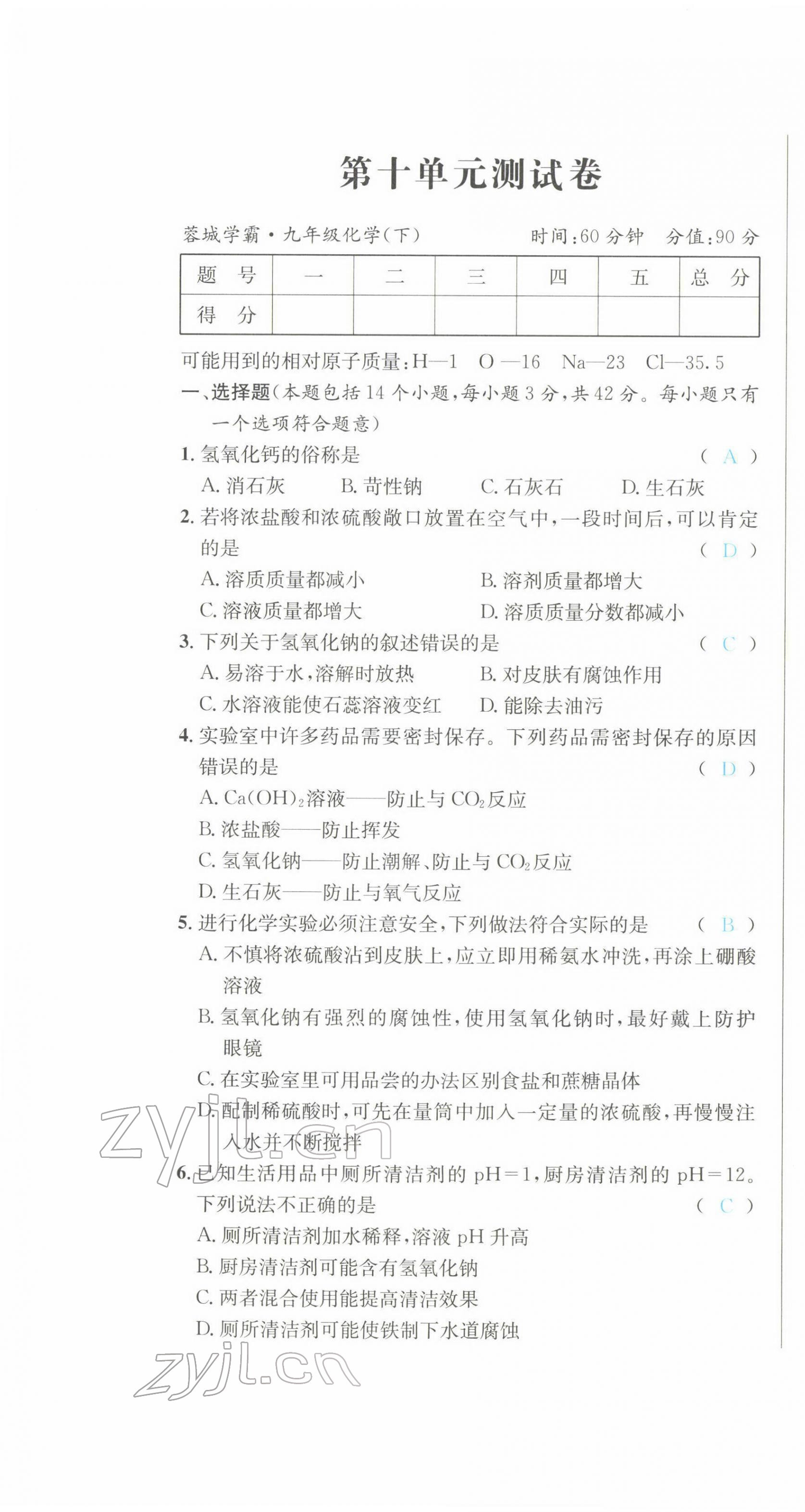 2022年蓉城学霸九年级化学下册人教版 第13页
