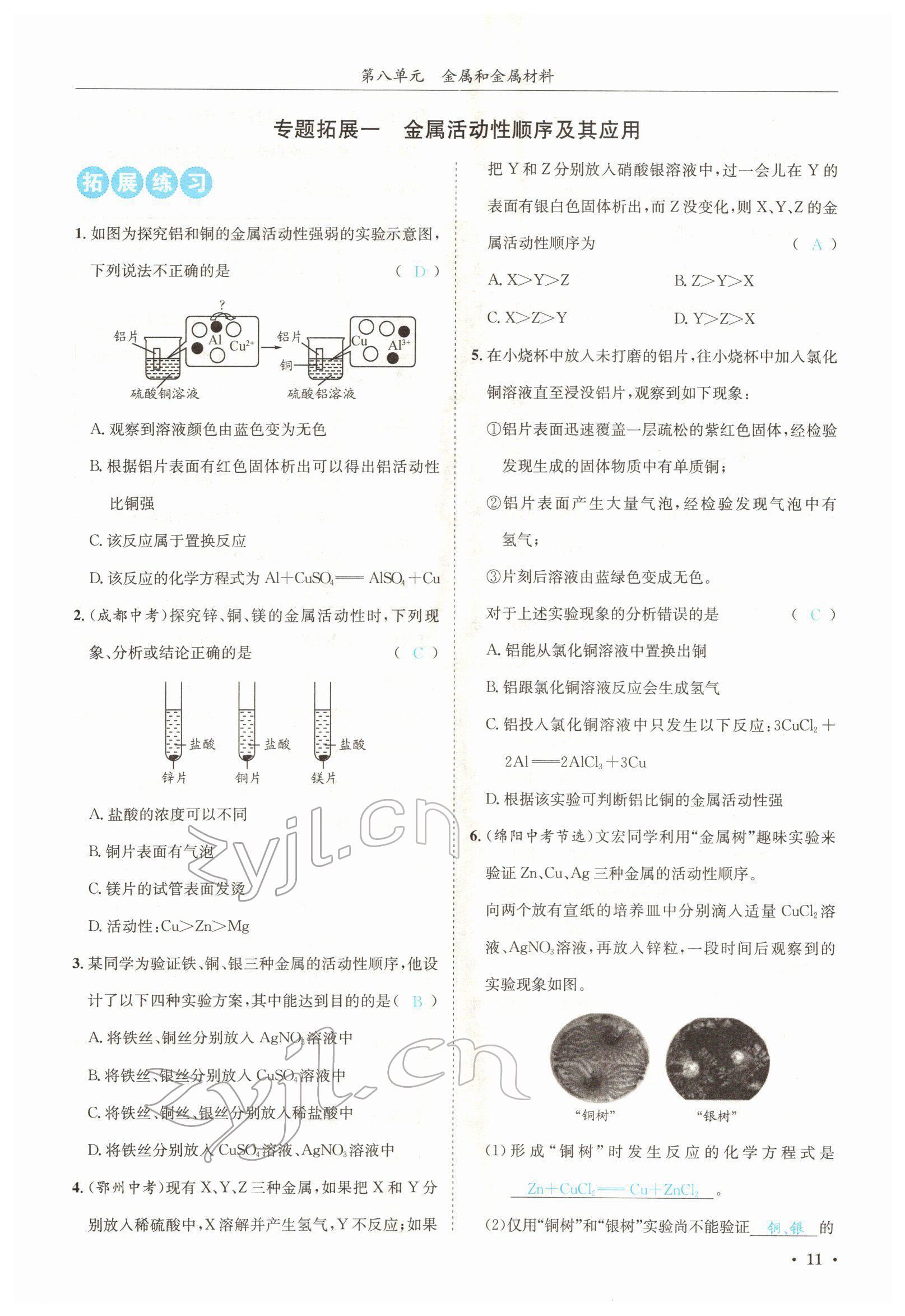 2022年蓉城学霸九年级化学下册人教版 参考答案第11页