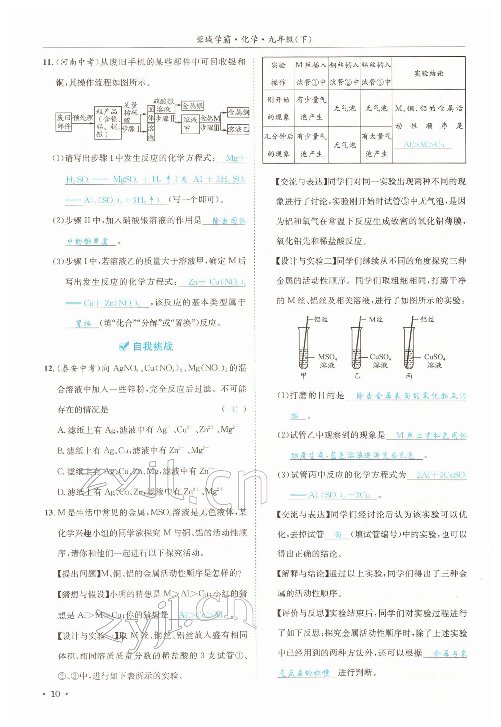2022年蓉城学霸九年级化学下册人教版 参考答案第10页