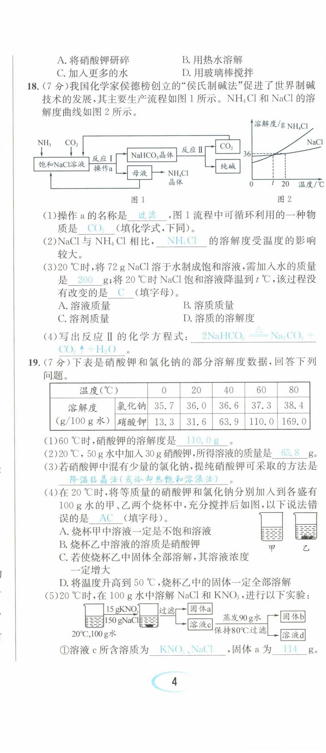2022年蓉城学霸九年级化学下册人教版 第11页