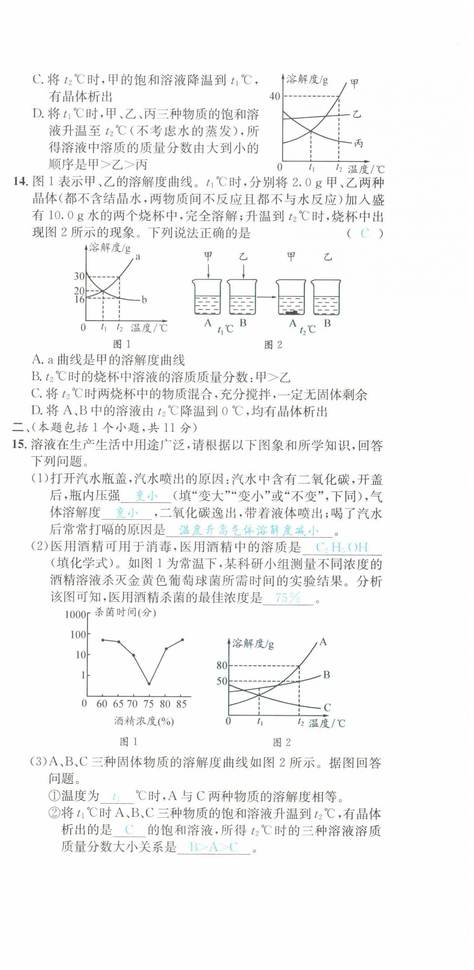 2022年蓉城学霸九年级化学下册人教版 第9页