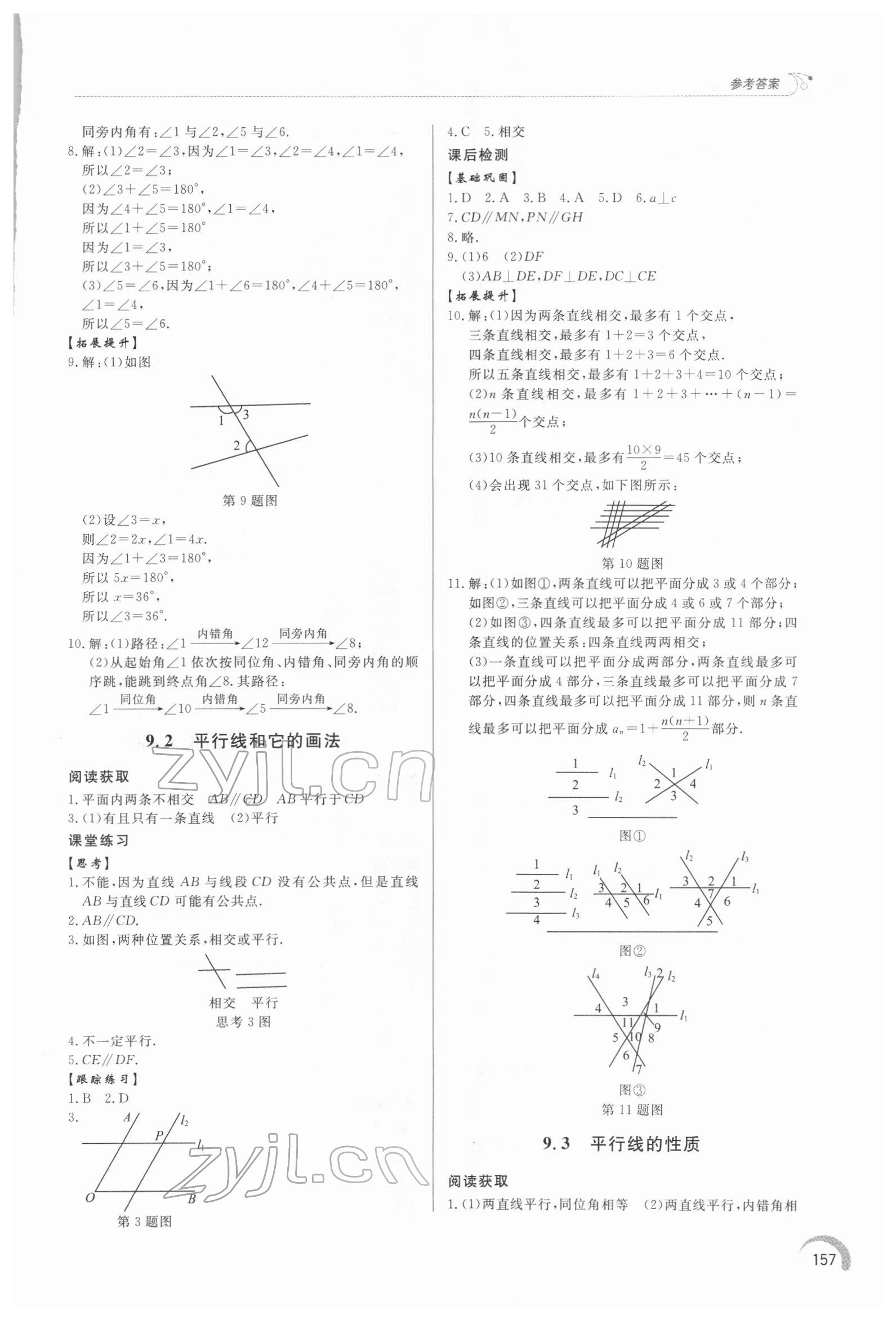 2022年同步练习册泰山出版社七年级数学下册青岛版 第5页