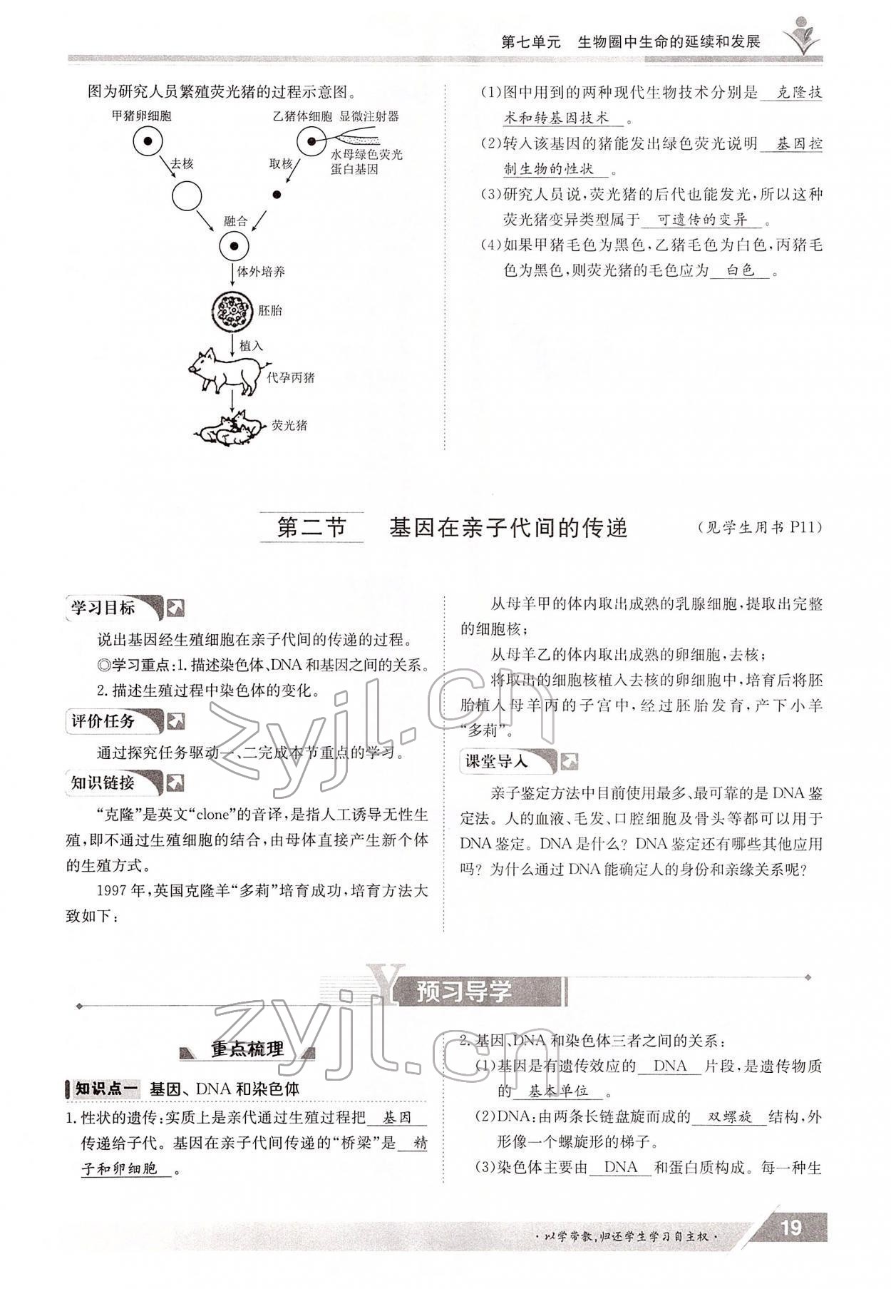 2022年金太阳导学测评八年级生物下册人教版 参考答案第19页