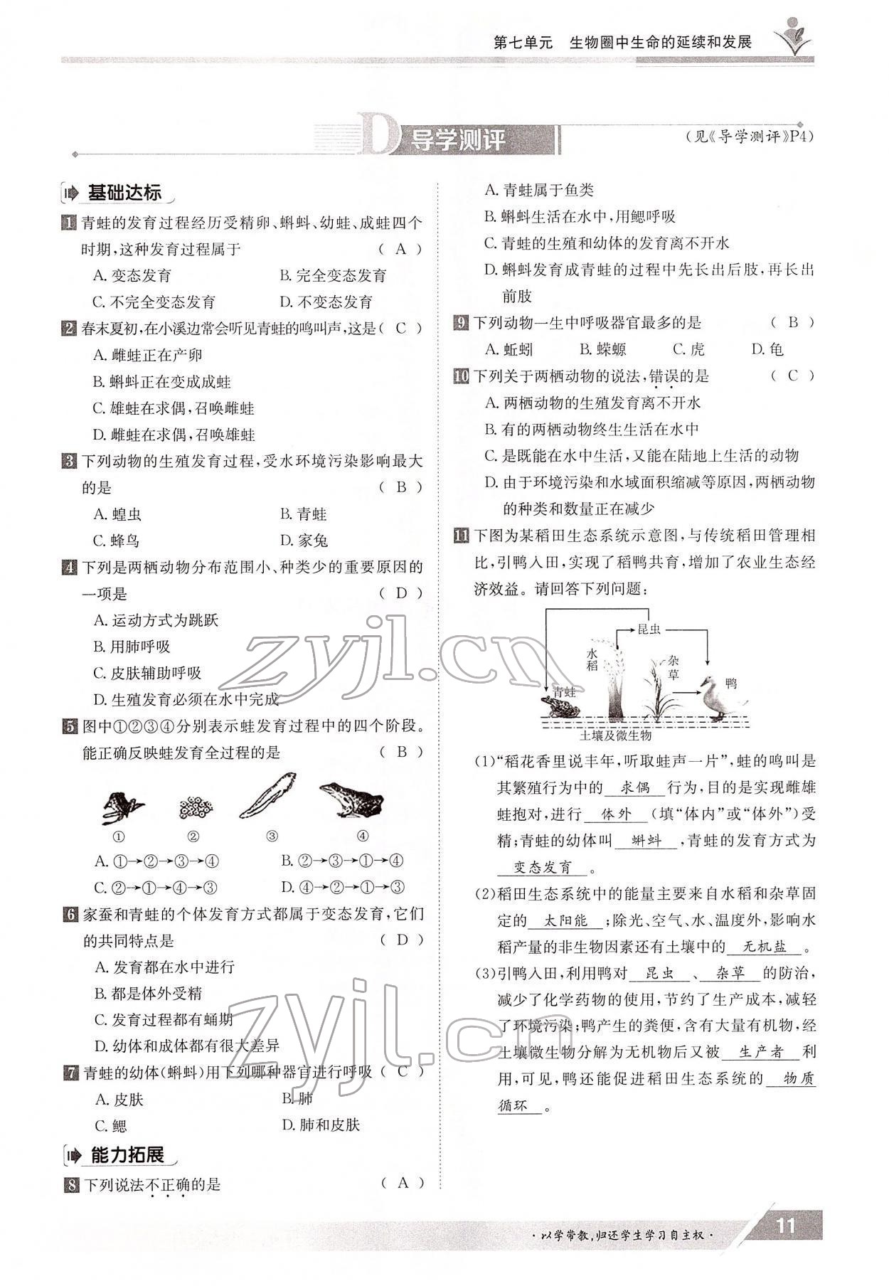 2022年金太阳导学测评八年级生物下册人教版 参考答案第11页