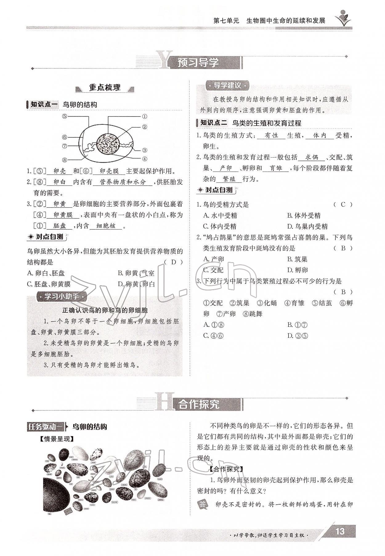 2022年金太陽導(dǎo)學(xué)測評(píng)八年級(jí)生物下冊人教版 參考答案第13頁