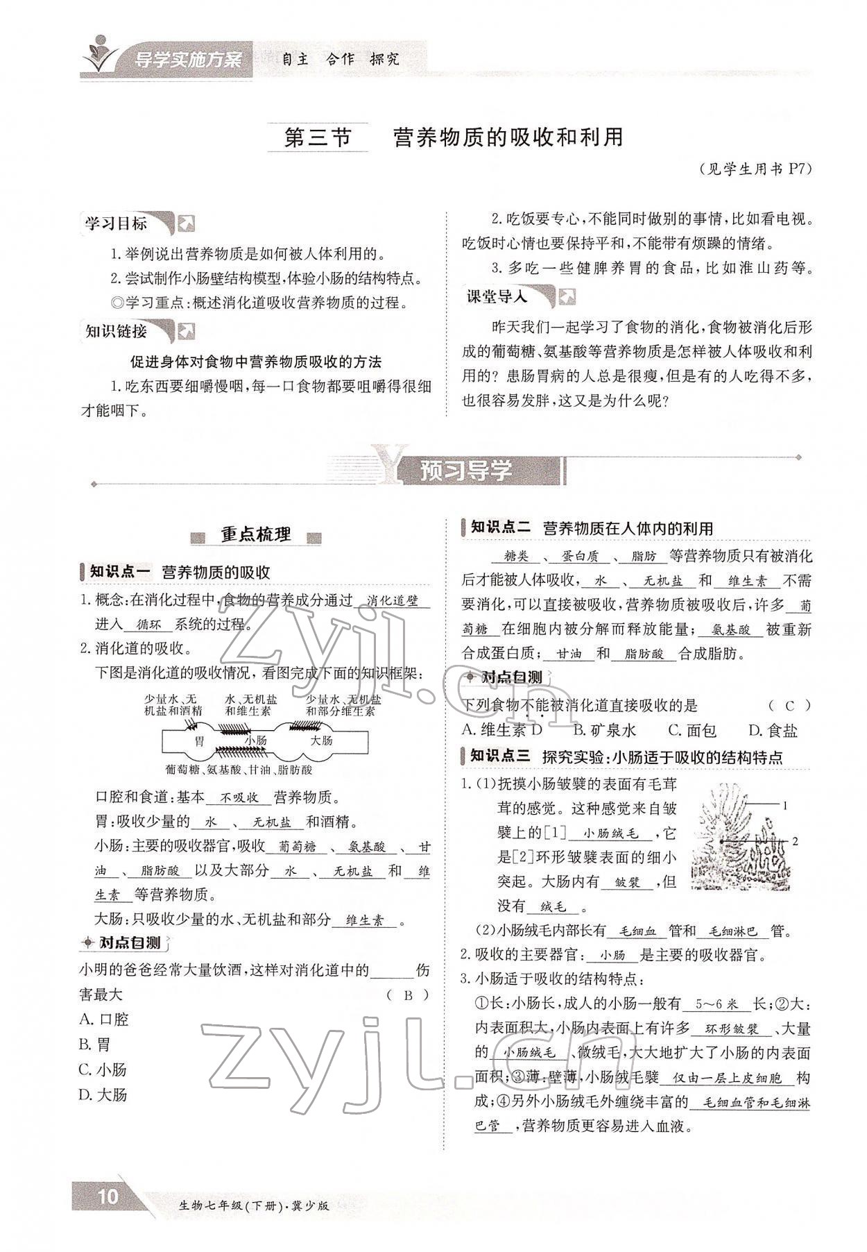 2022年金太阳导学测评七年级生物下册冀少版 参考答案第10页