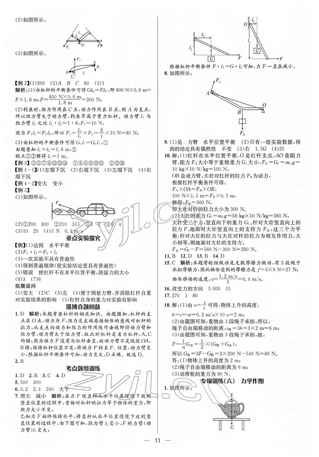 2022年中考对策物理淄博专版 参考答案第11页