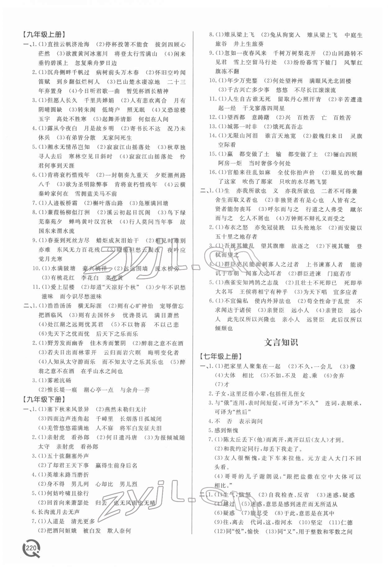 2022年初中总复习手册青岛出版社语文 第4页