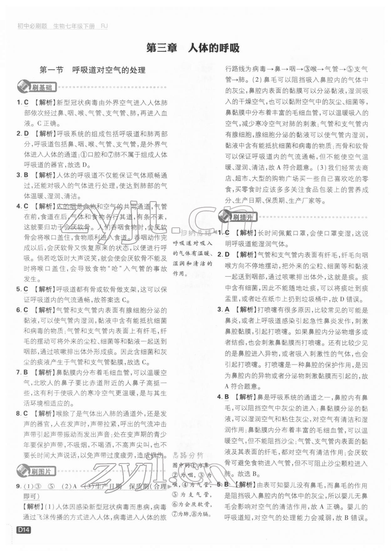 2022年初中必刷題七年級(jí)生物下冊(cè)人教版 參考答案第14頁(yè)