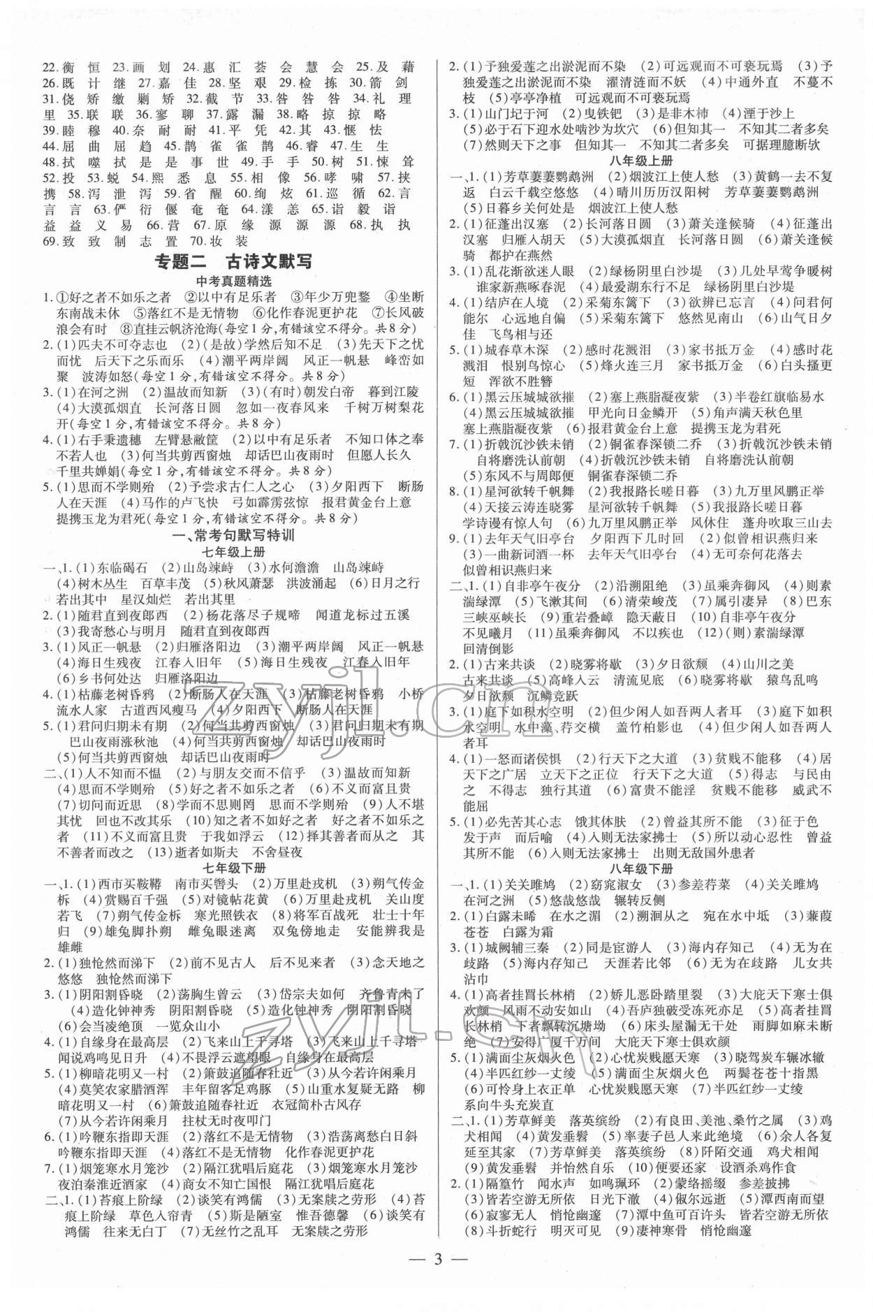 2022年领跑中考语文河南专版 第3页