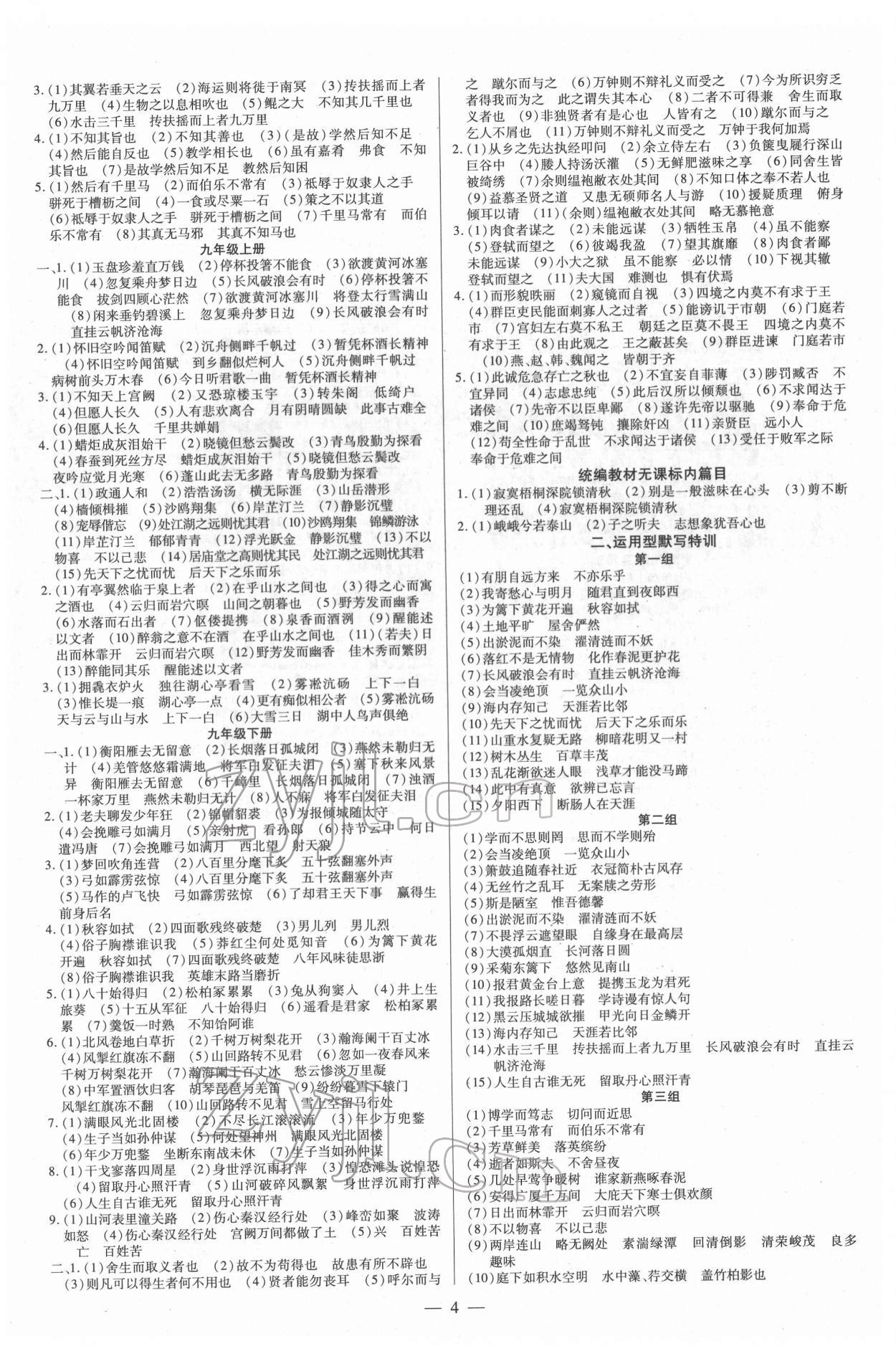 2022年领跑中考语文河南专版 第4页