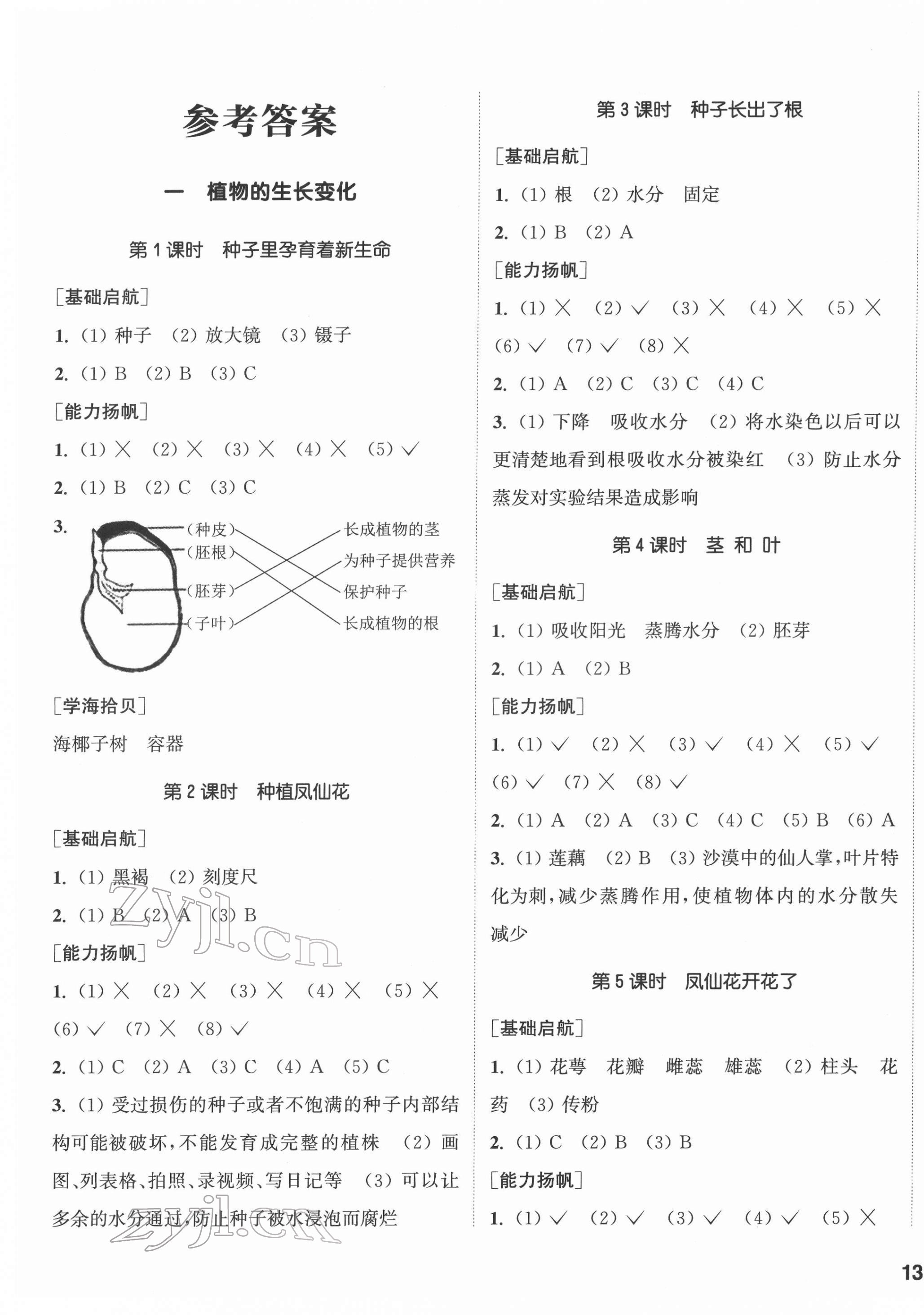 2022年通城学典课时作业本四年级科学下册教科版 参考答案第1页