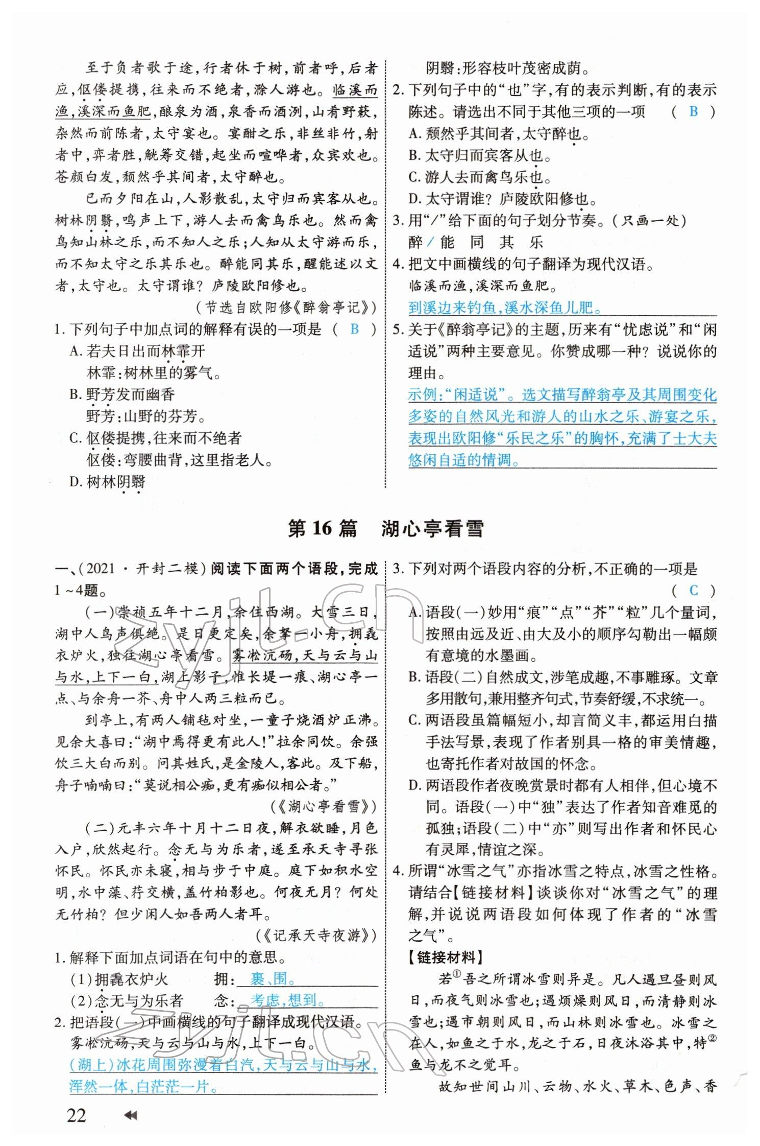 2022年领航中考一本通语文河南专版 参考答案第22页