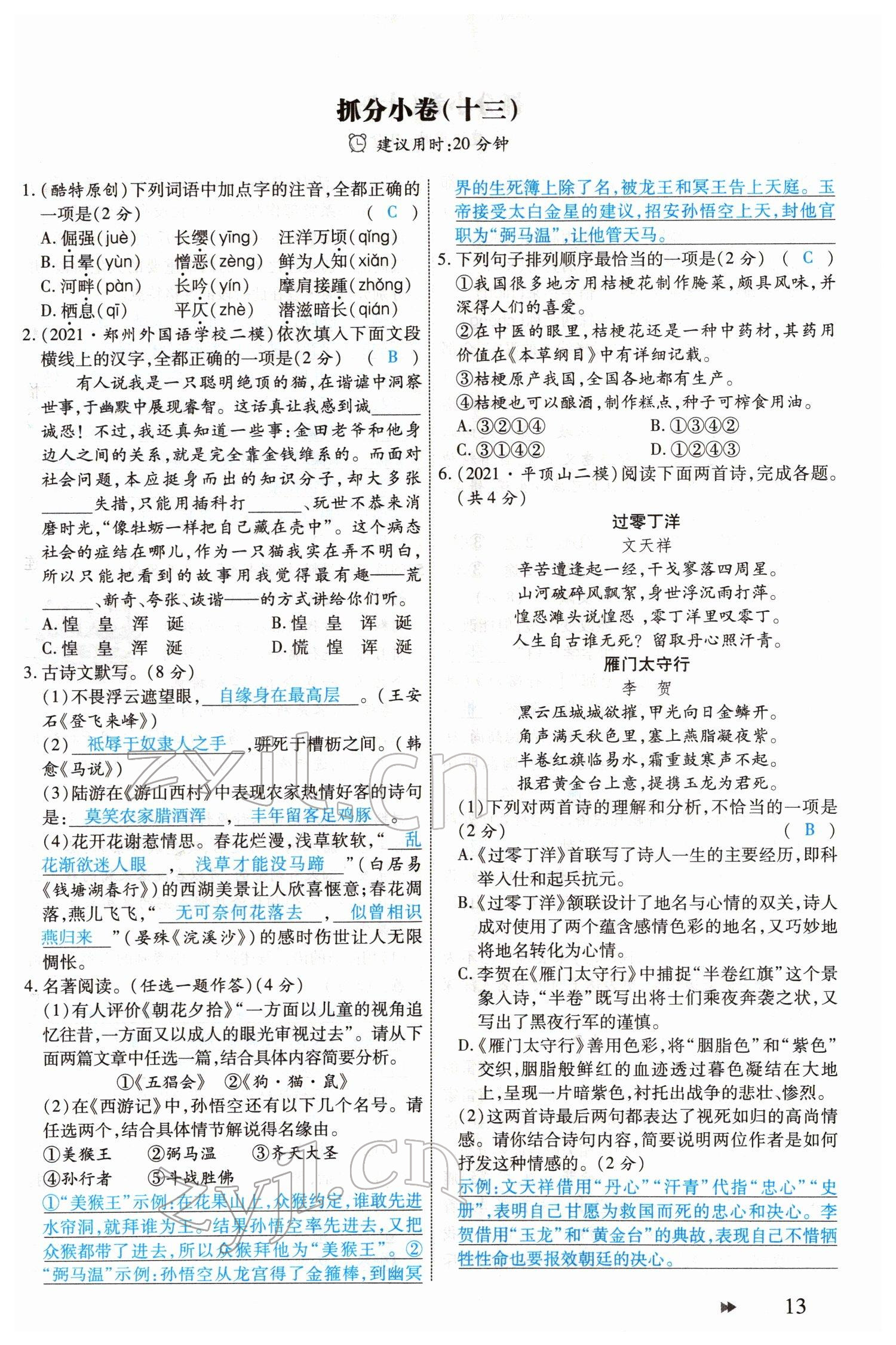 2022年领航中考一本通语文河南专版 参考答案第13页