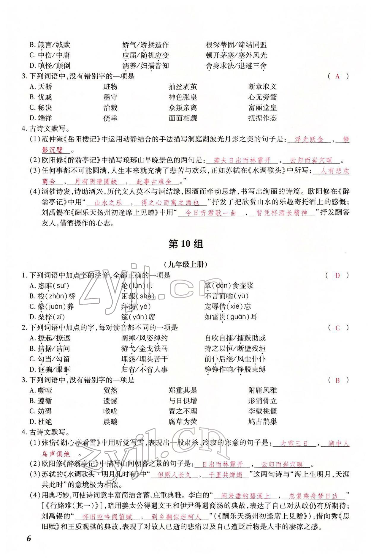 2022年洪文教育最新中考语文河南专版 参考答案第14页