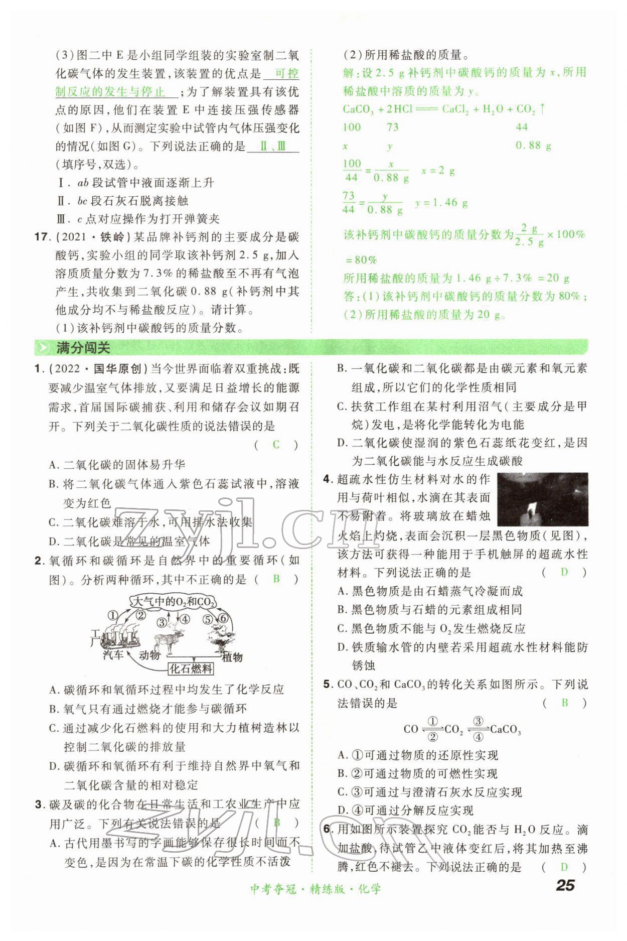 2022年国华教育中考夺冠化学河南专版 第25页