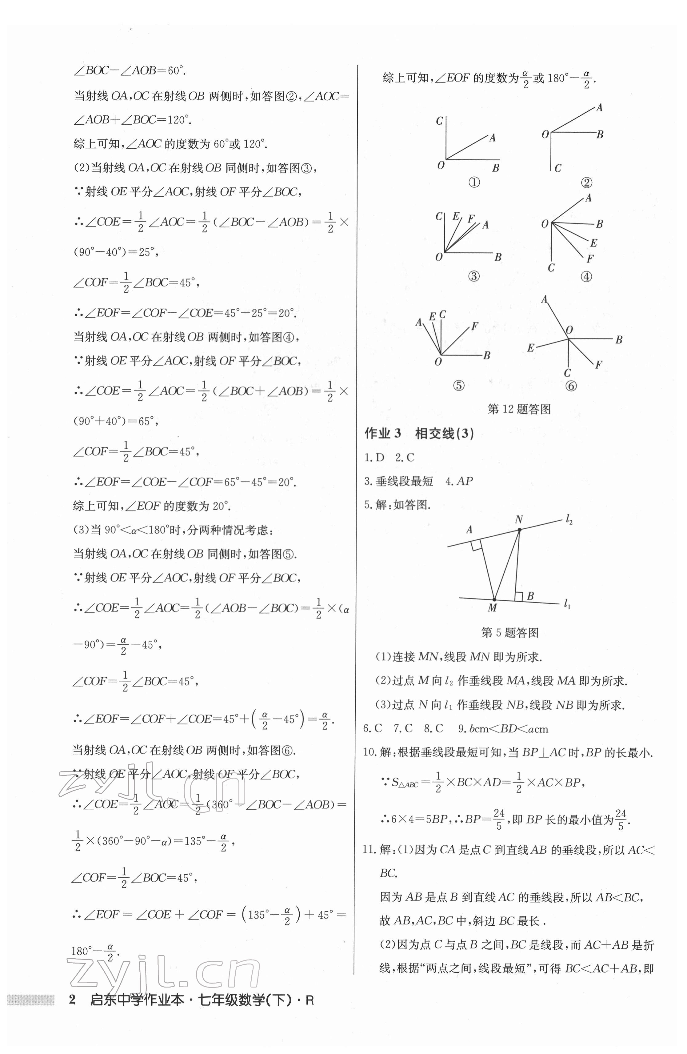 2022年启东中学作业本七年级数学下册人教版 第2页