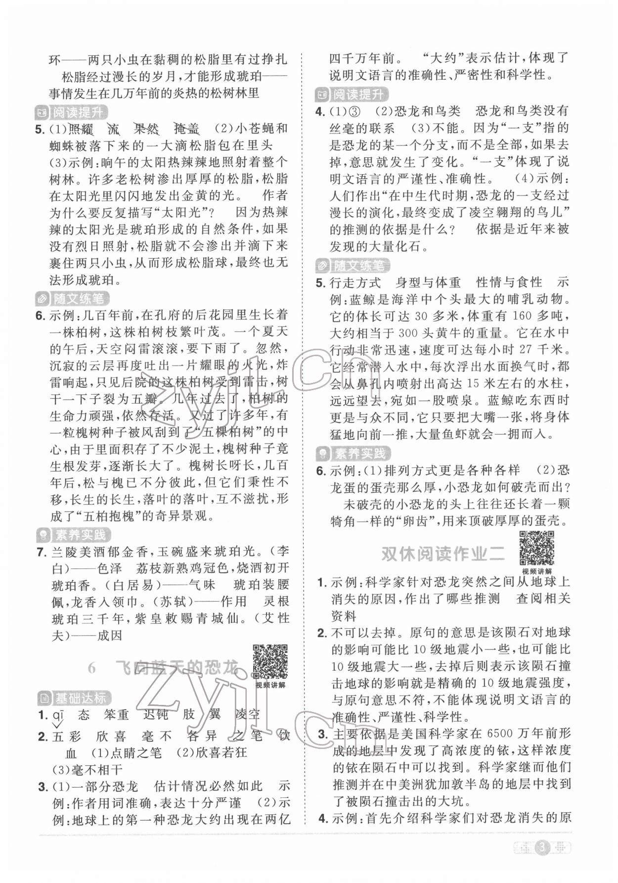 2022年阳光同学课时优化作业四年级语文下册人教版菏泽专版 参考答案第3页