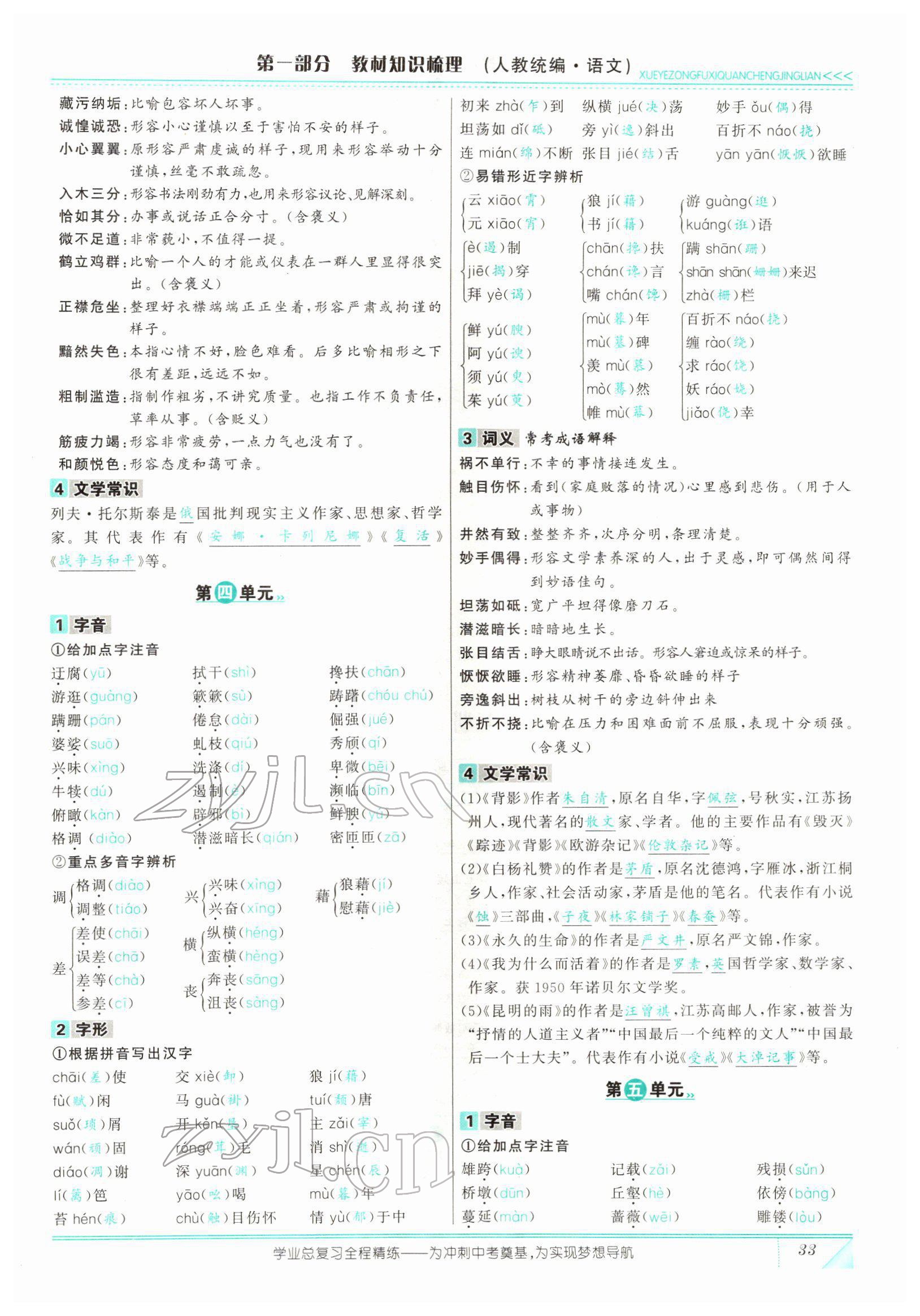 2022年智慧大课堂学业总复习全程精练语文人教版 参考答案第95页