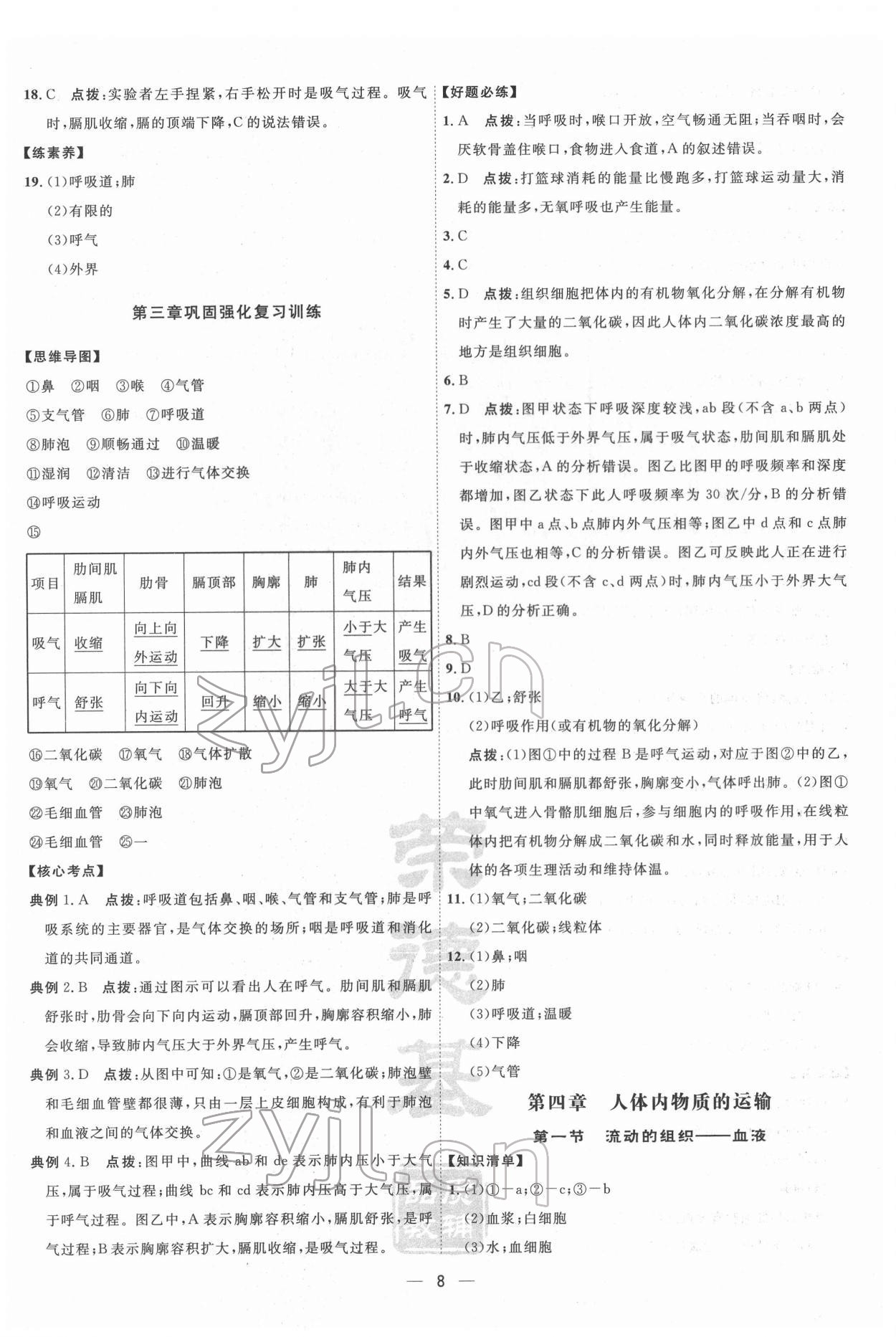 2022年點(diǎn)撥訓(xùn)練七年級(jí)生物下冊(cè)人教版 第8頁