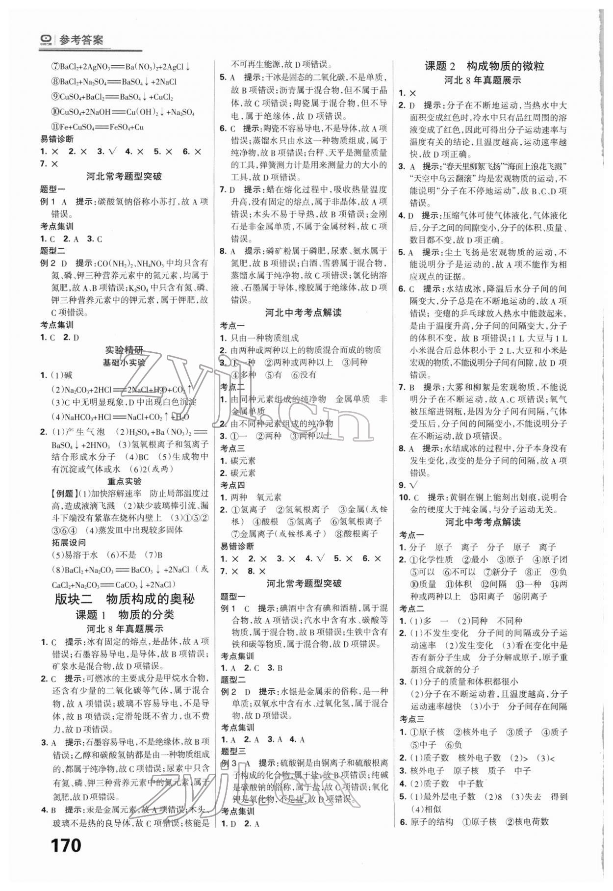 2022年全優(yōu)中考系統(tǒng)總復習化學河北專版 第8頁