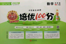 2022年王朝霞培优100分五年级数学下册人教版