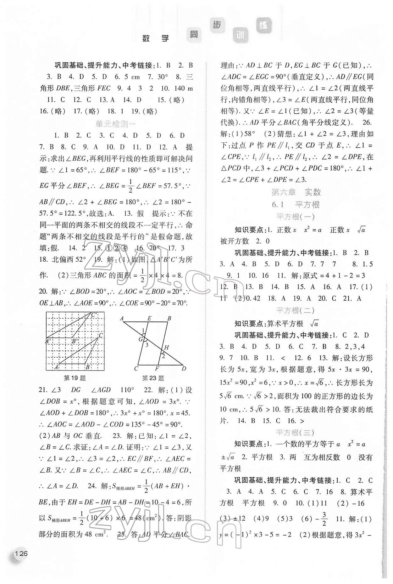 2022年同步训练七年级数学下册人教版河北人民出版社 参考答案第3页