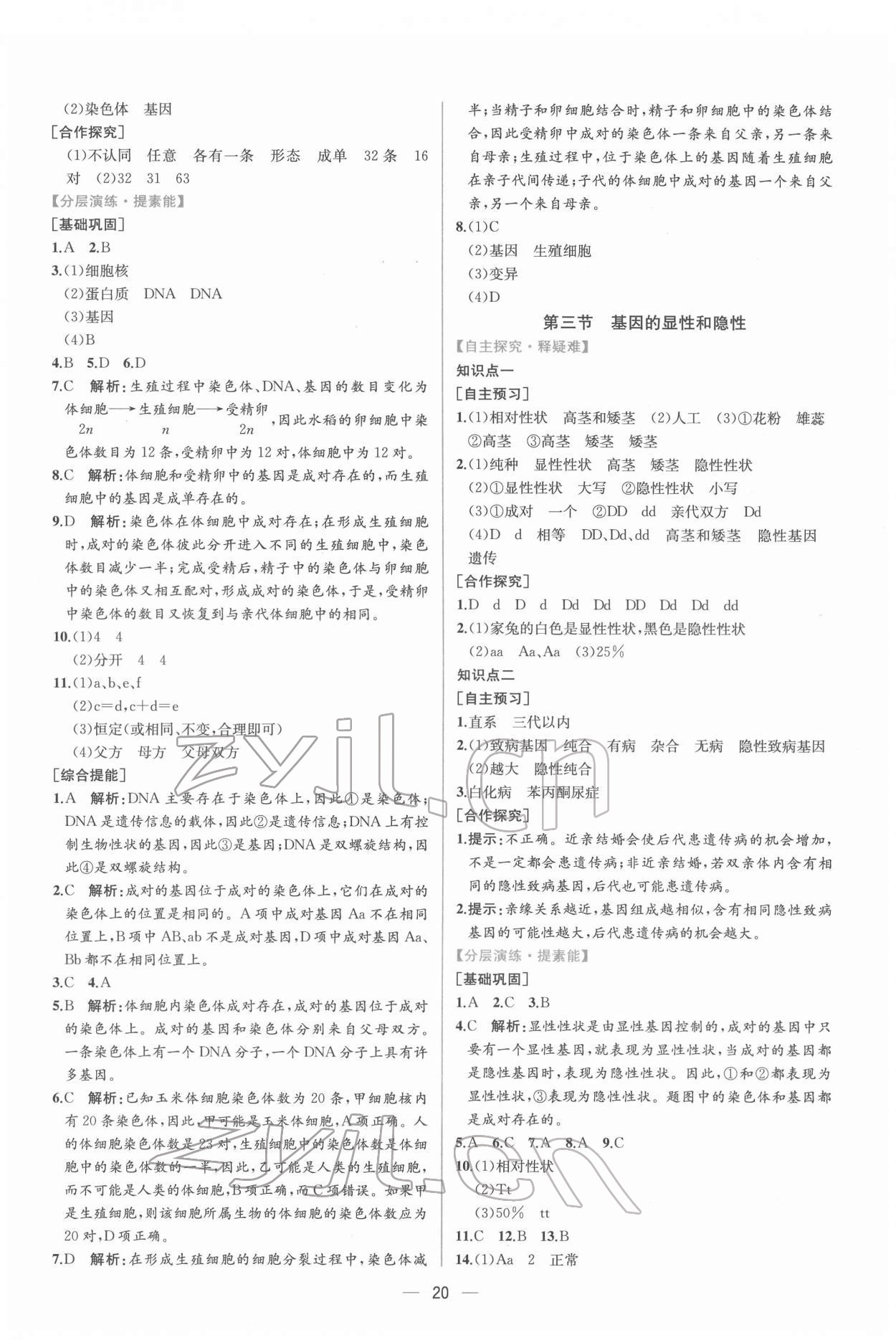 2022年同步导学案课时练八年级生物下册人教版 第4页