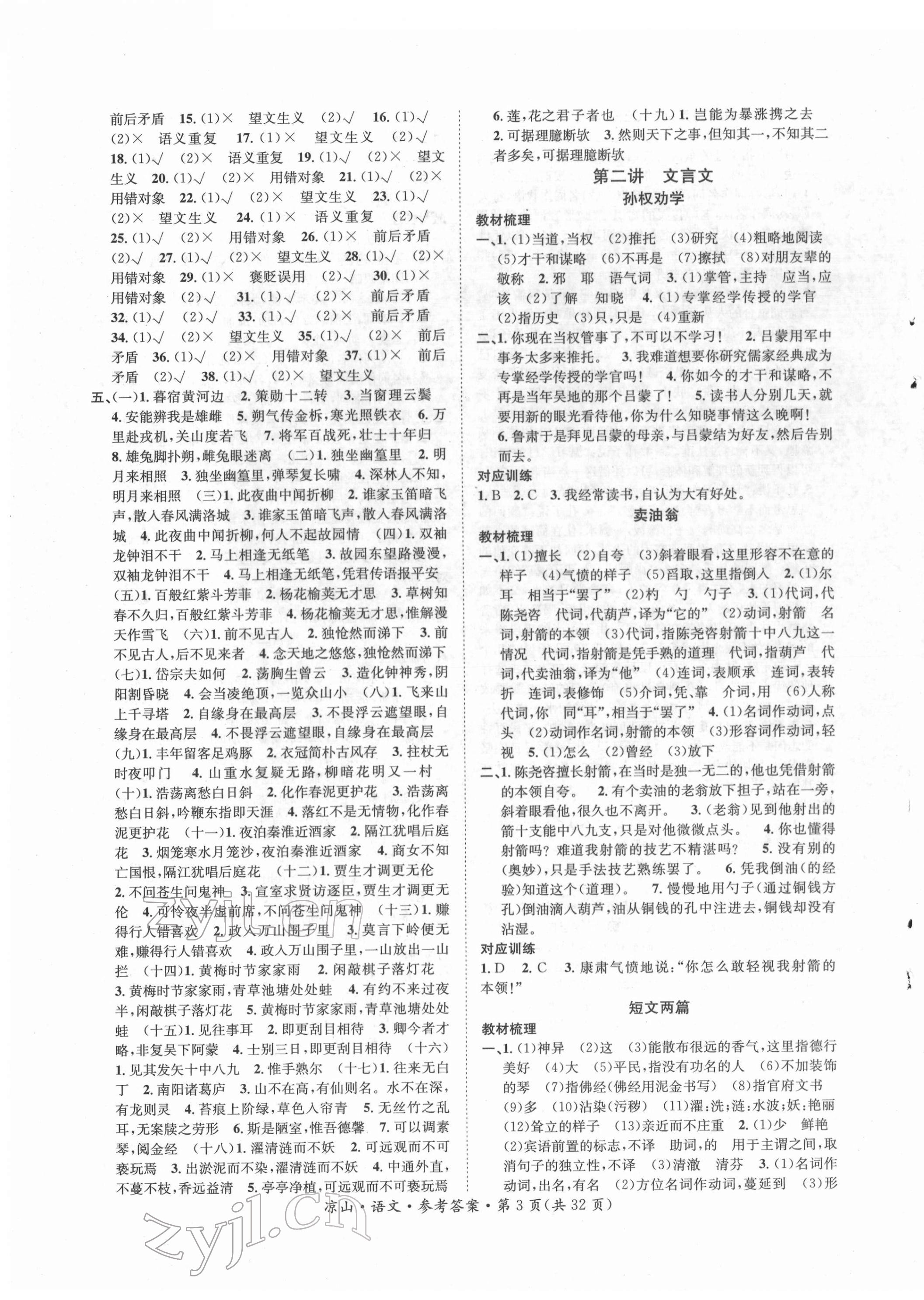 2022年国华考试中考总动员语文凉山专版 第3页