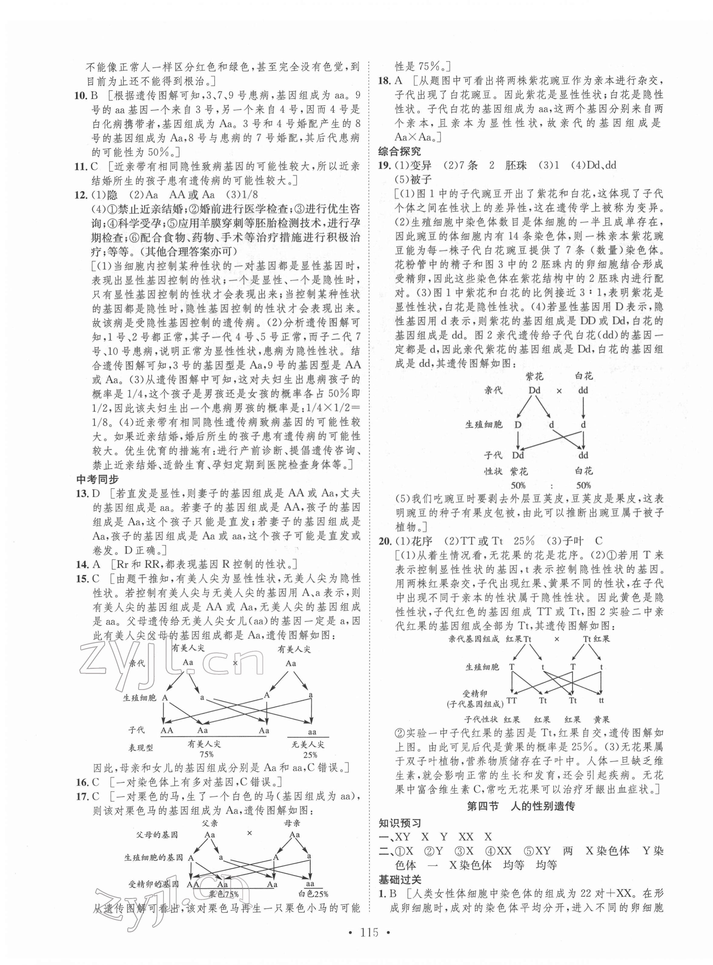 2022年思路教練同步課時作業(yè)八年級生物下冊人教版 第7頁