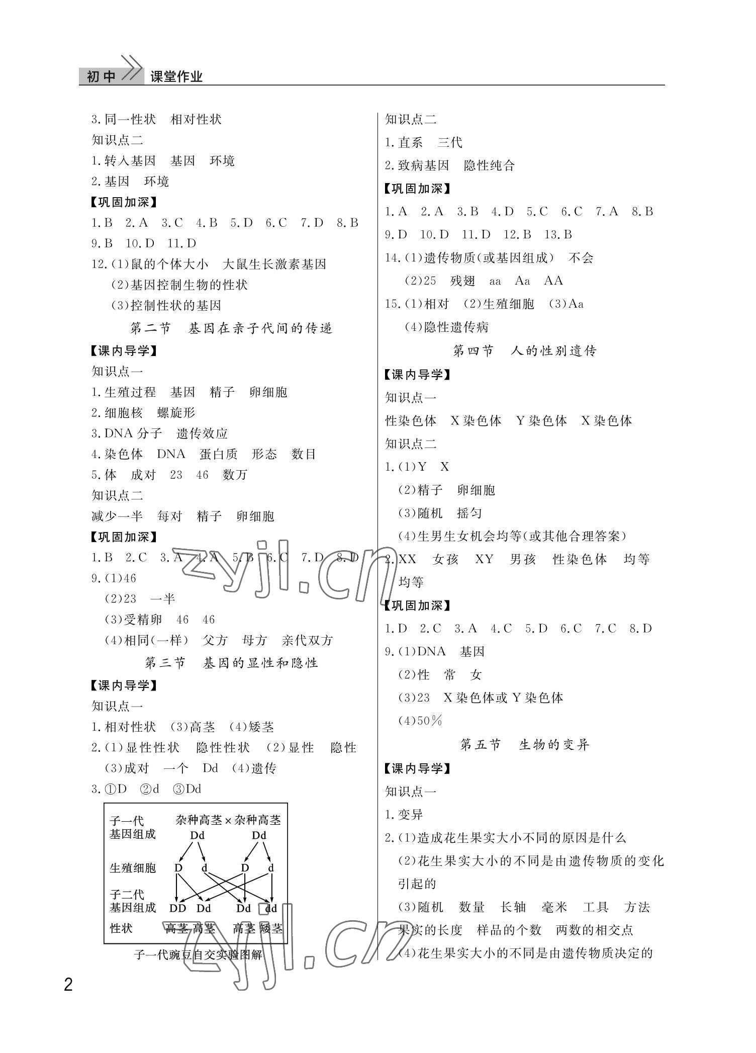 2022年课堂作业武汉出版社八年级生物下册人教版 第2页